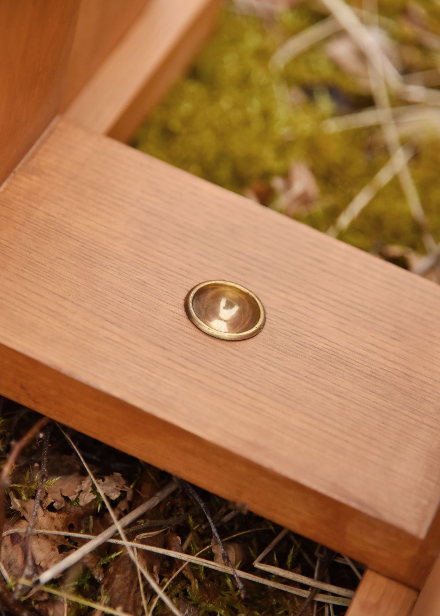 Imagen única de: Representa A Quandao