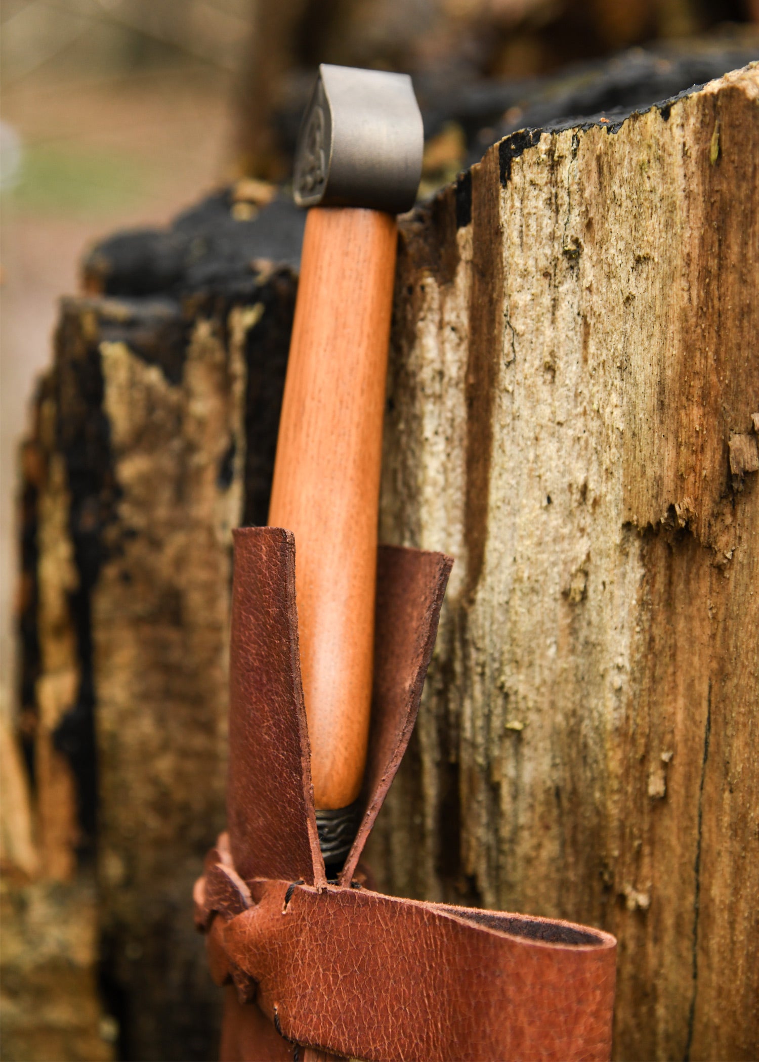 Imagen única de: Skramasax Sajón