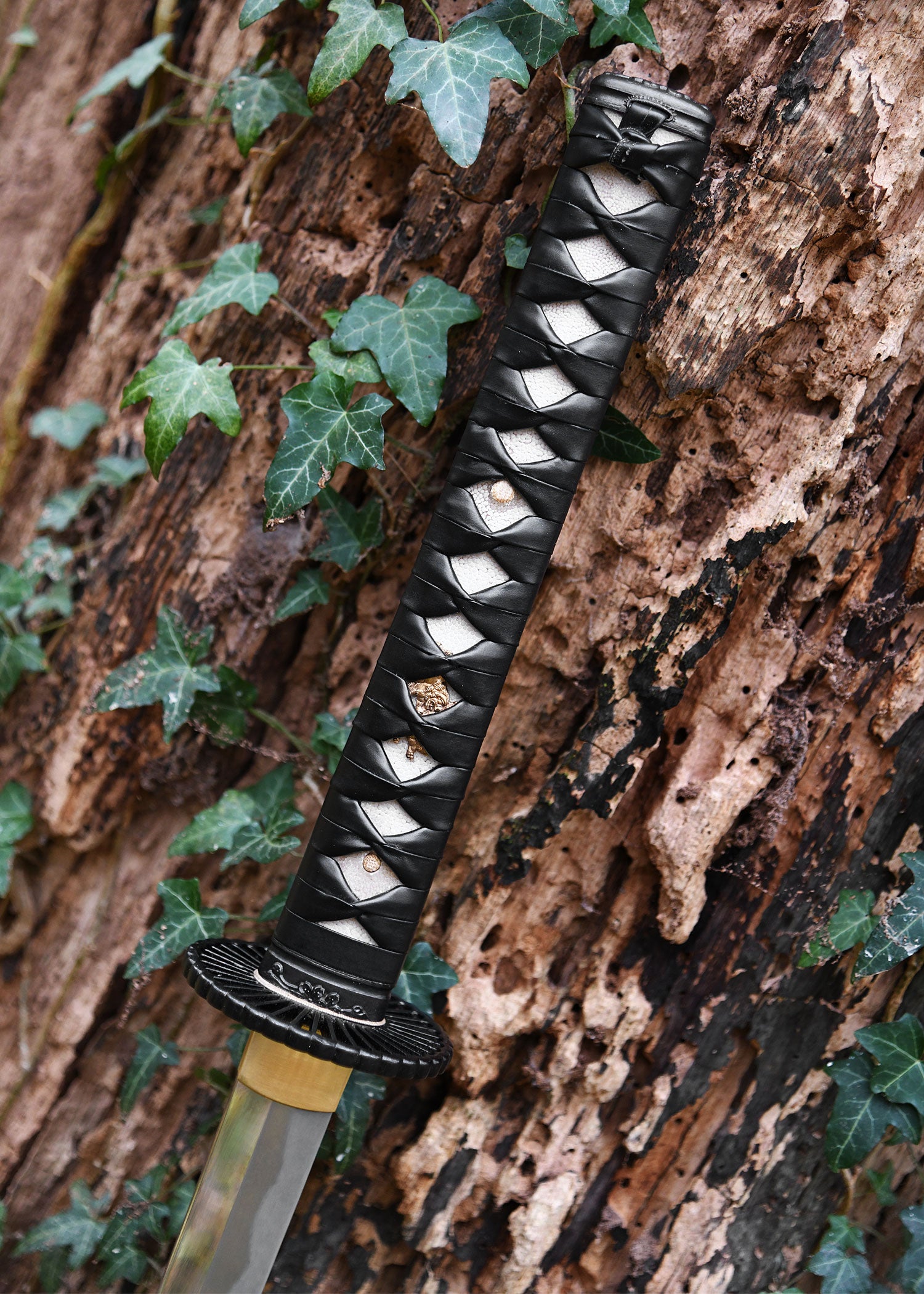 Imagen única de: Práctica Plus Katana