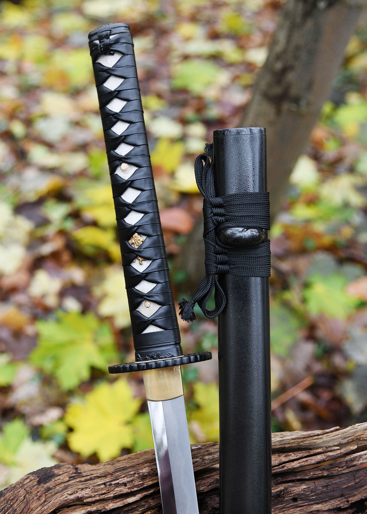 Imagen única de: Práctica Plus Katana