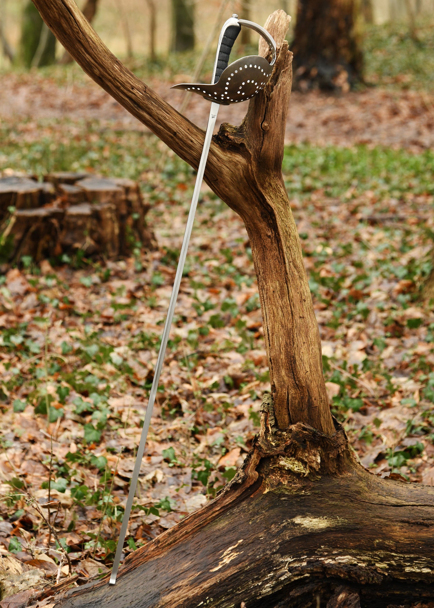 Imagen única de: Sable Pecoraro