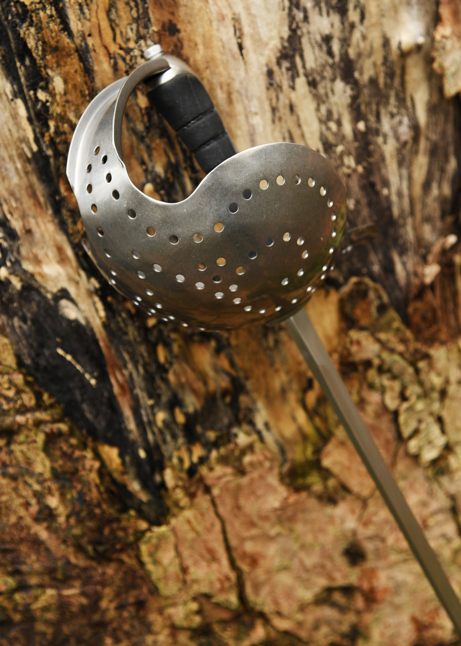 Imagen única de: Sable Pecoraro