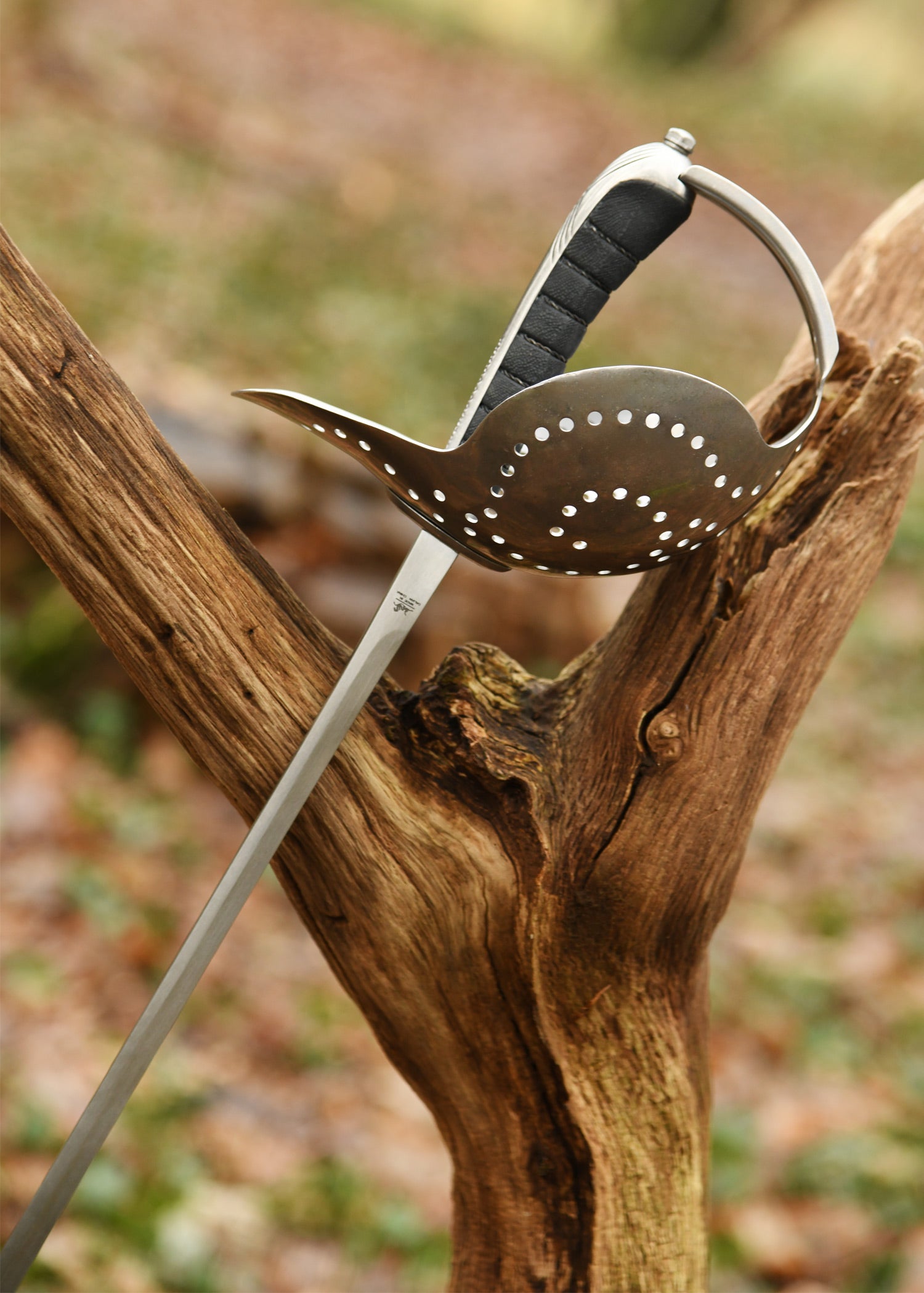 Imagen única de: Sable Pecoraro