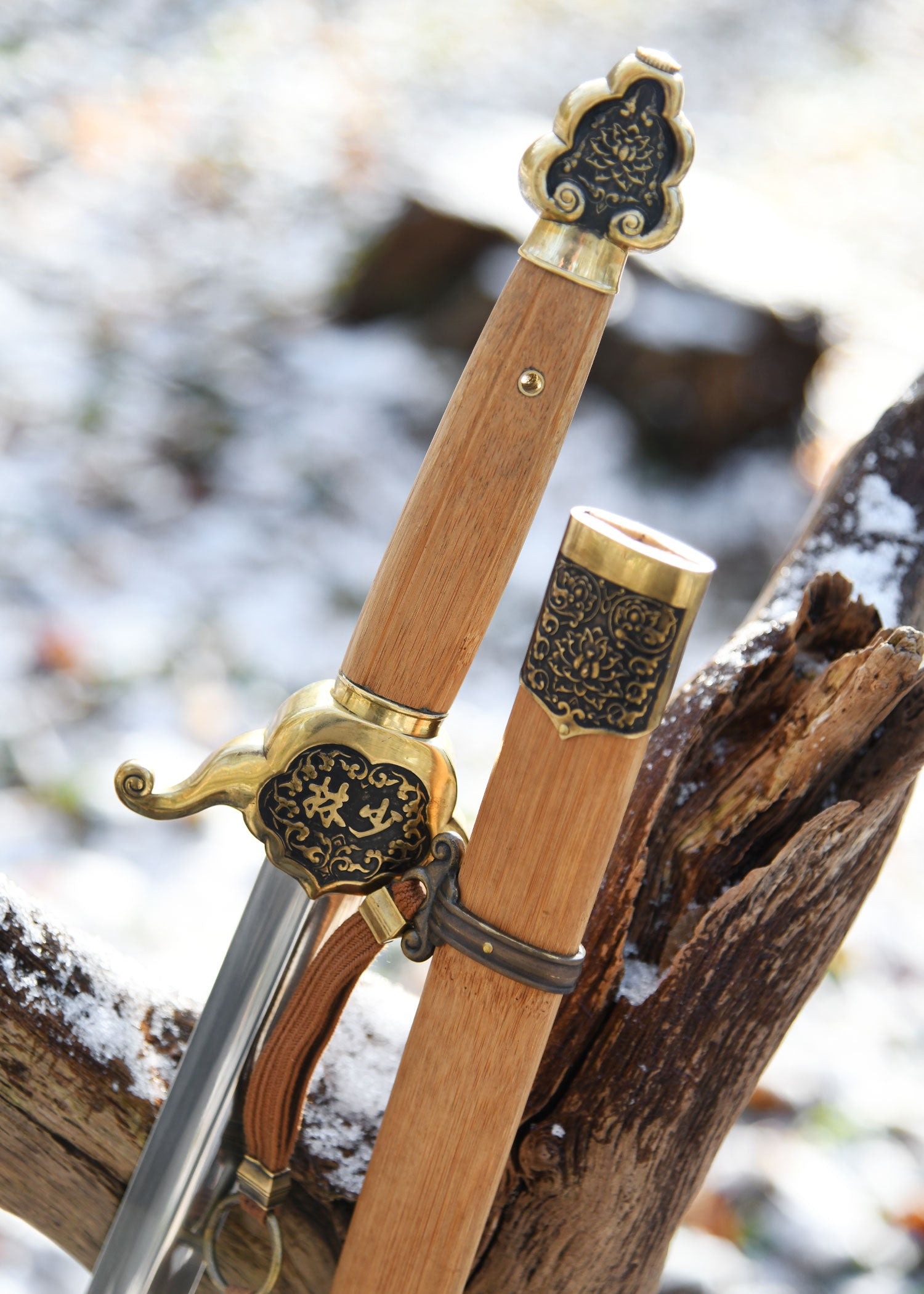 Imagen única de: Shaolin Jian