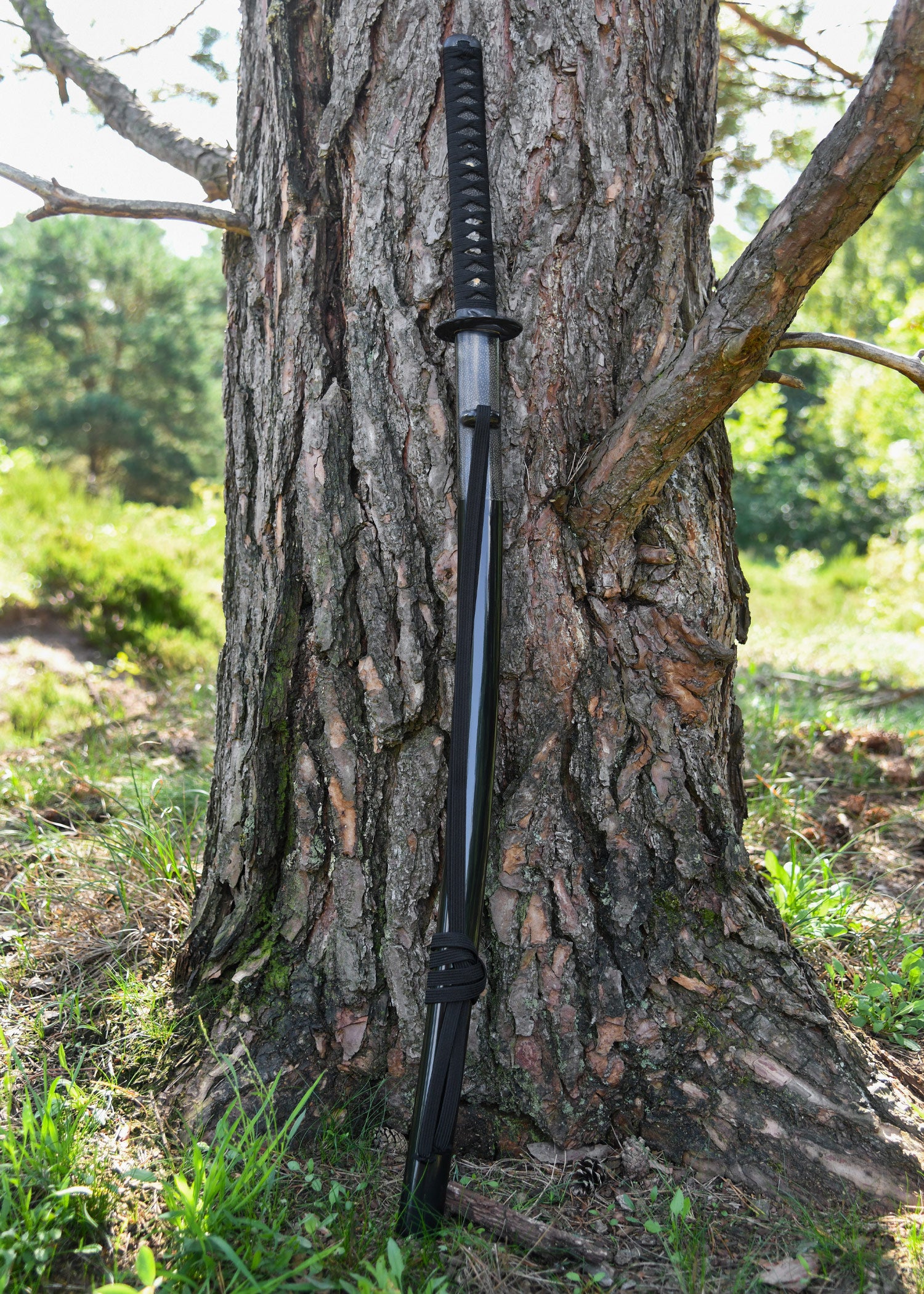 Imagen única de: Tsuru Iaito, Diferentes Longitudes De Hoja