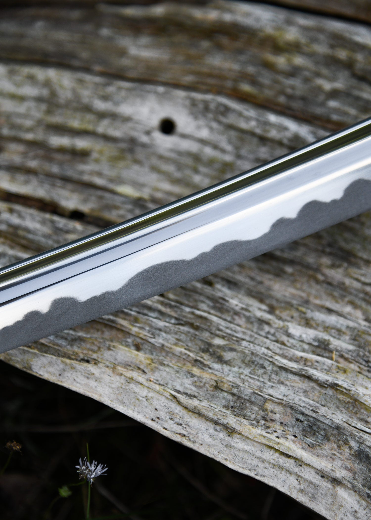 Imagen única de: Tsuru Iaito, Diferentes Longitudes De Hoja