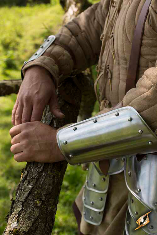 Imagen única de: Guerrero De Protección Del Brazo