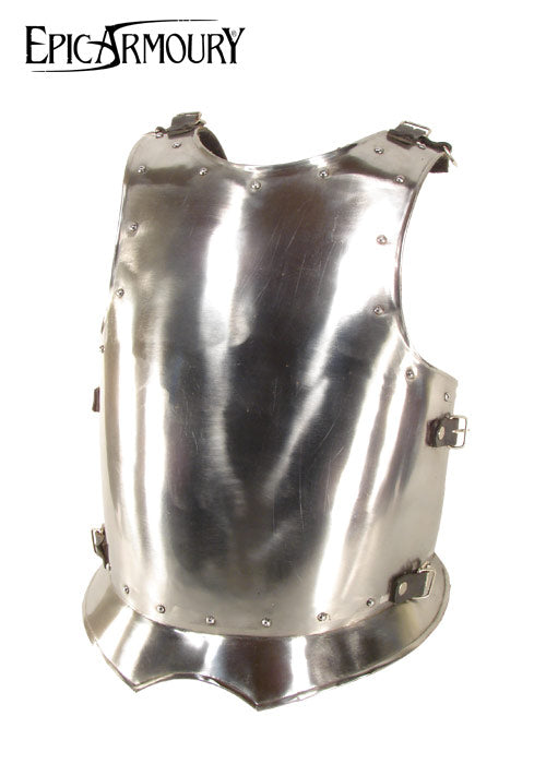 Imagen única de: Coraza De Guerrero, Varios Tamaños.