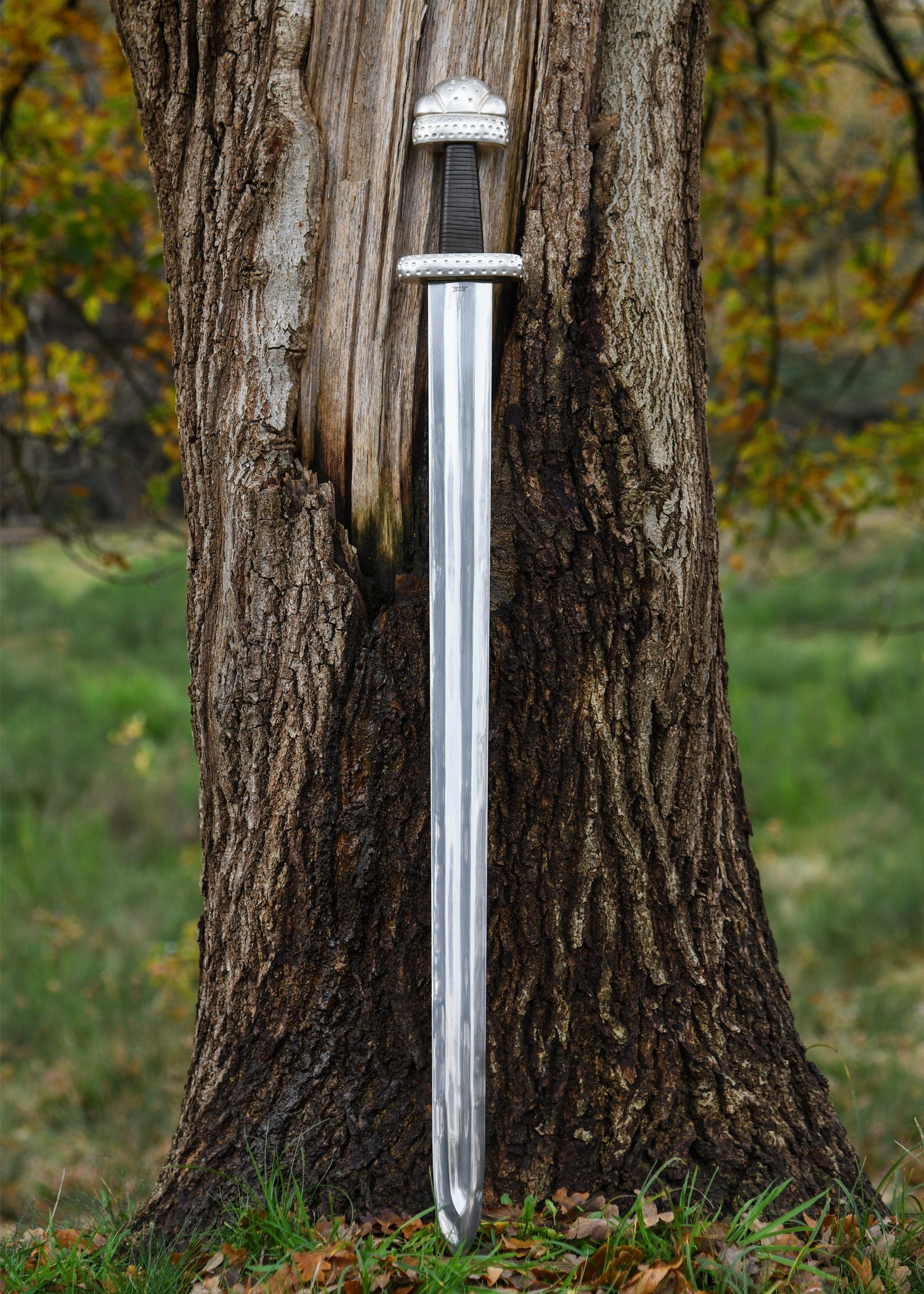 Imagen única de: Espada Del Rey Vikingo, Windlass Categoría-B