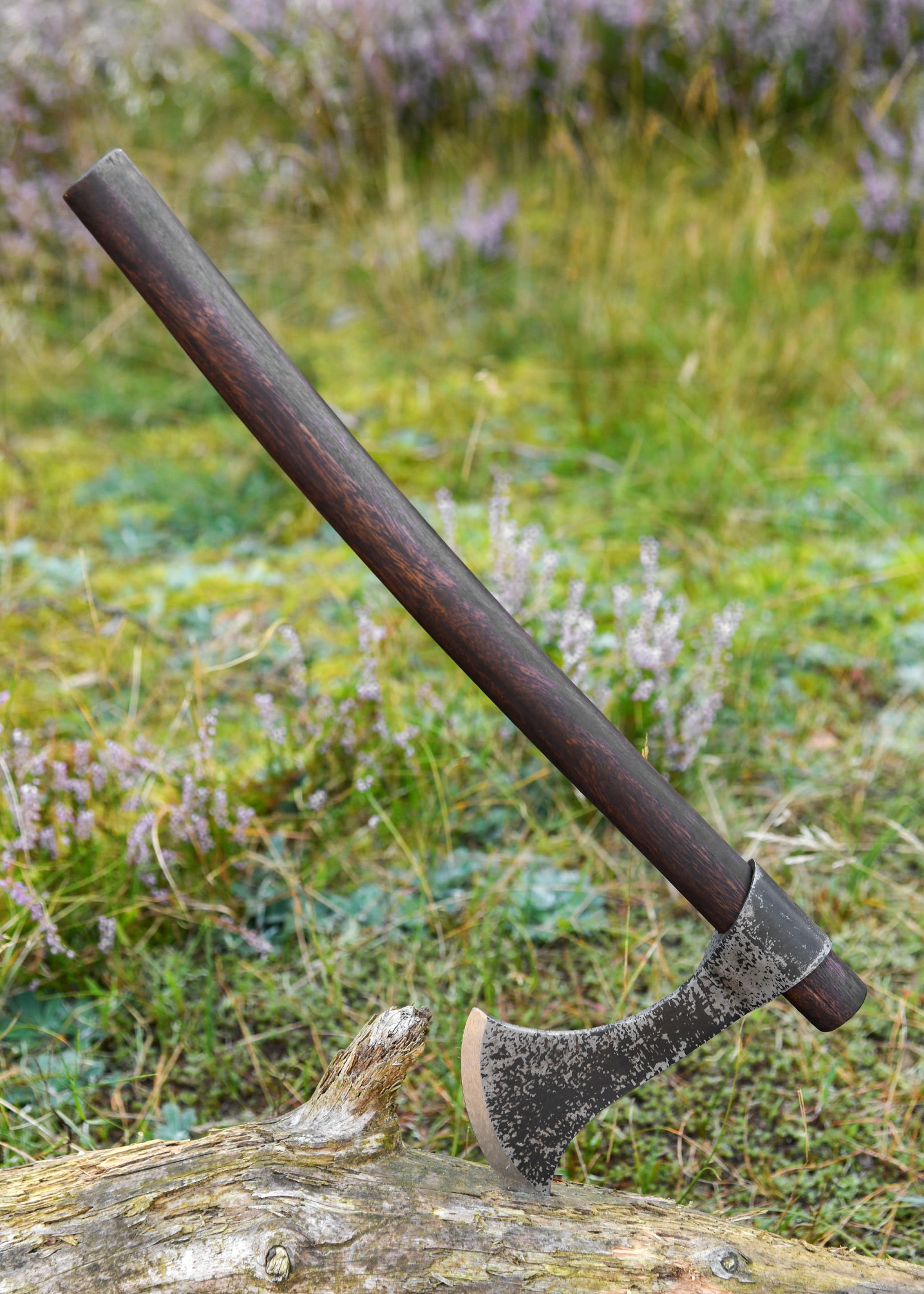 Imagen única de: Francesca Hacha, Windlass