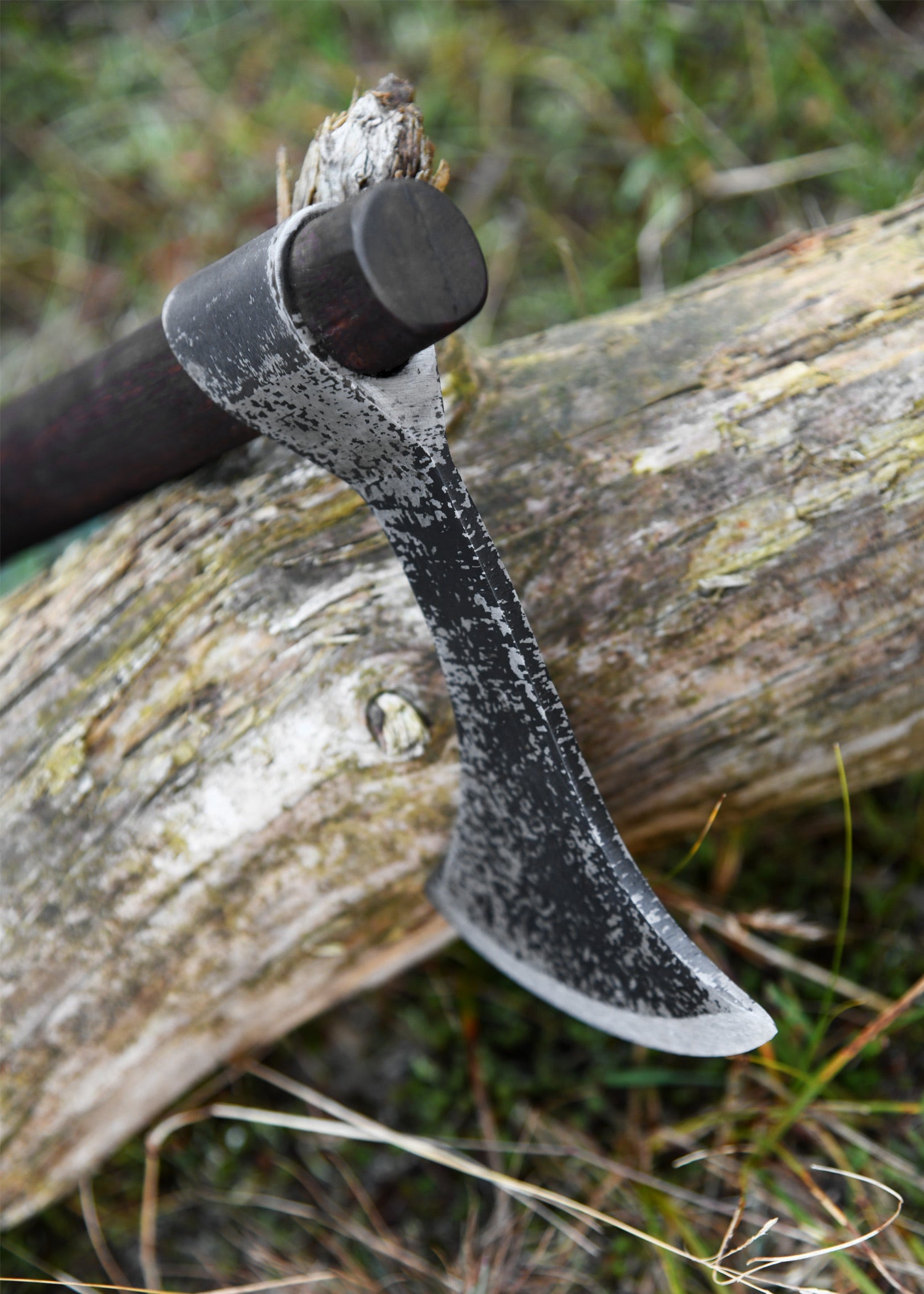 Imagen única de: Francesca Hacha, Windlass