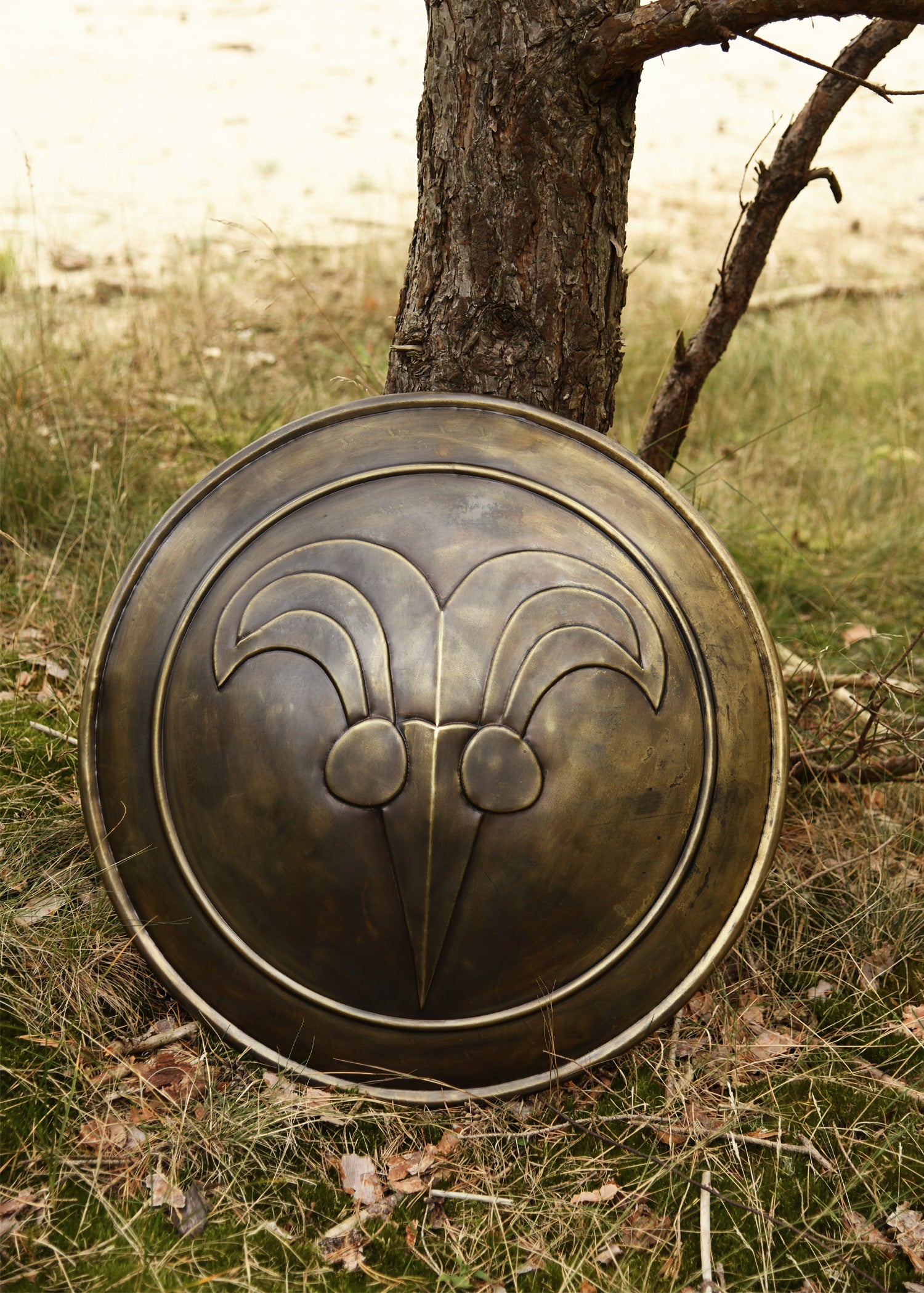 Imagen única de: Escudo Cimmerio, Windlass