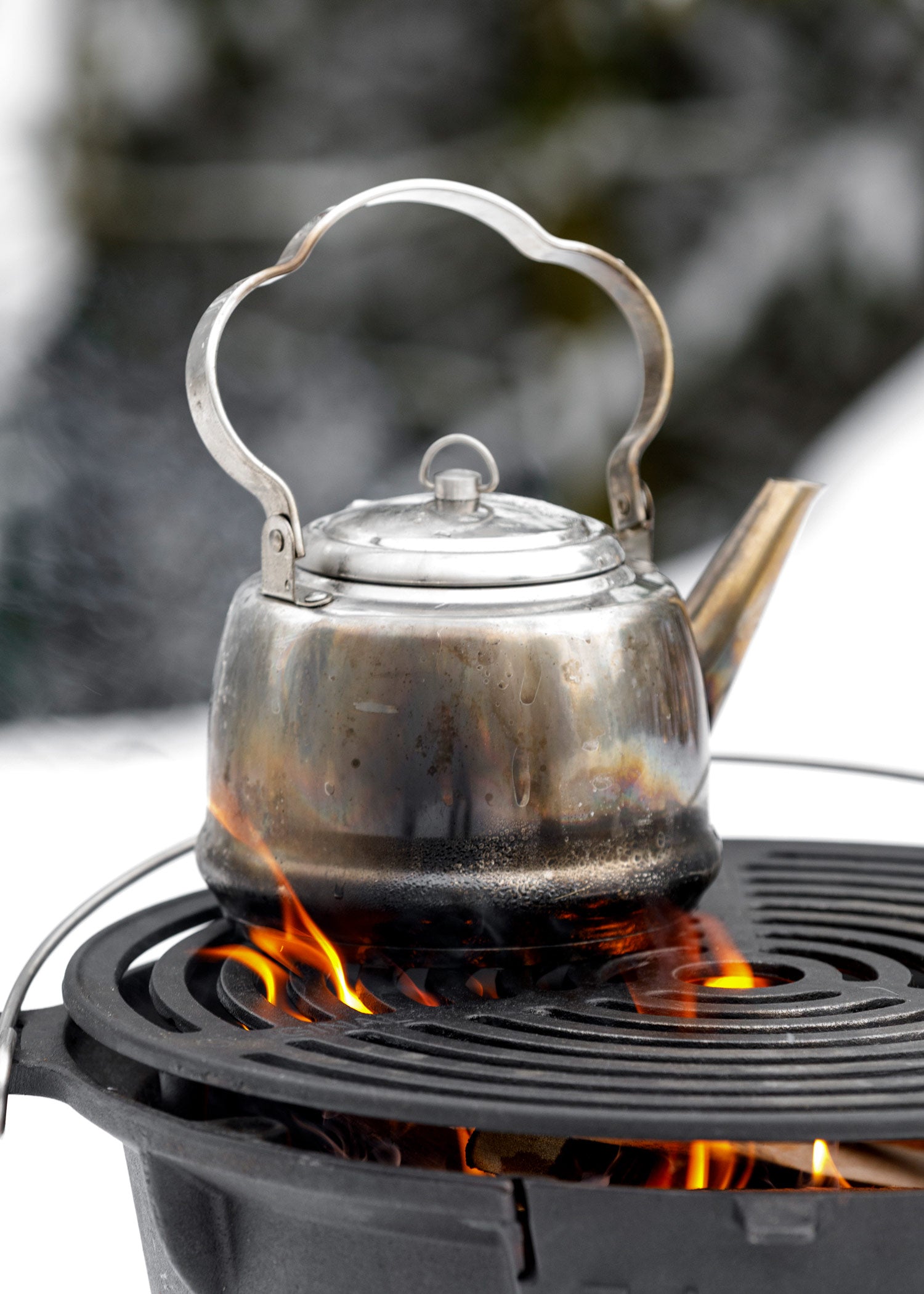 Imagen única de: Tetera Petromax Tk2 (3 Litros)