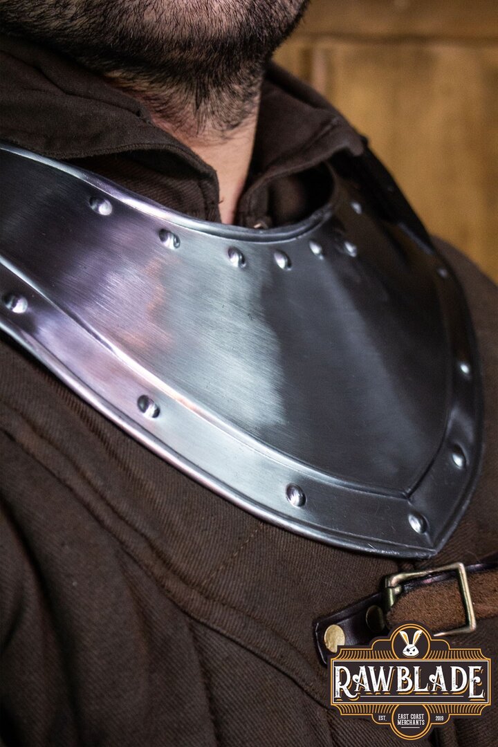 Imagen única de: Gorjal De Lancel