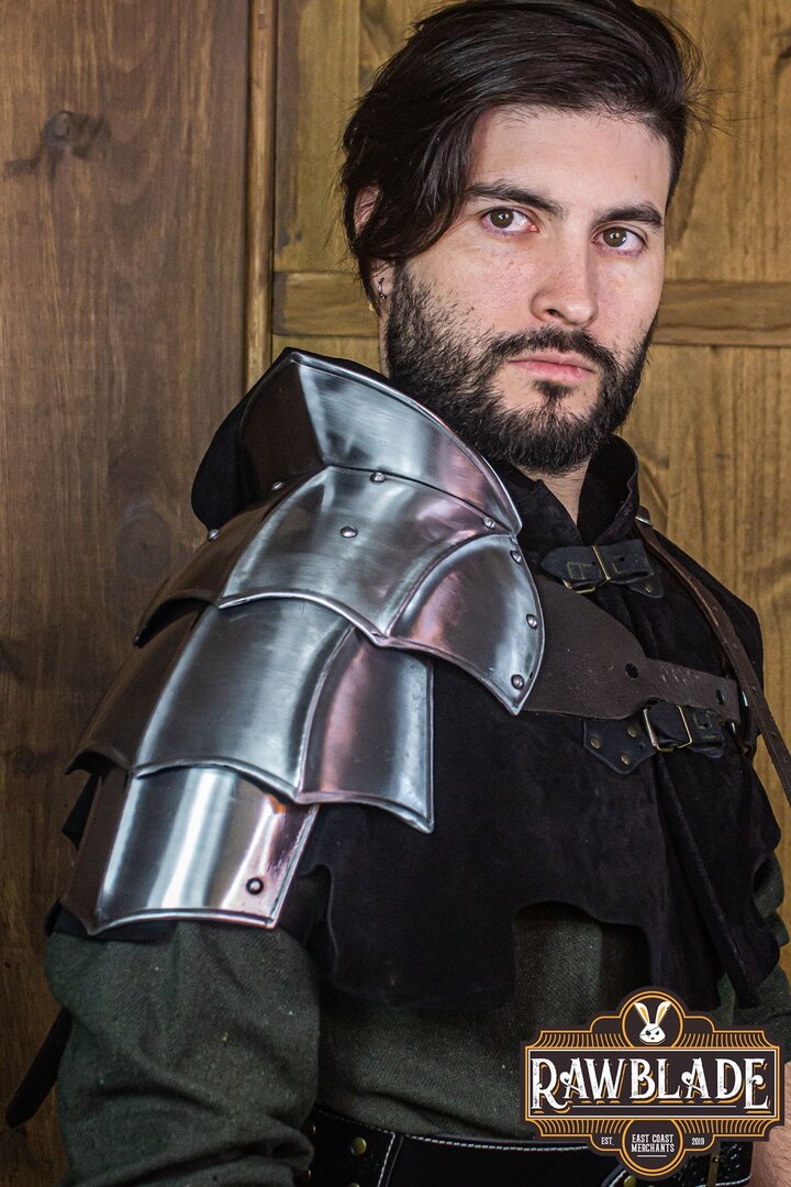 Imagen única de: Espaldares Individuales De Mordred