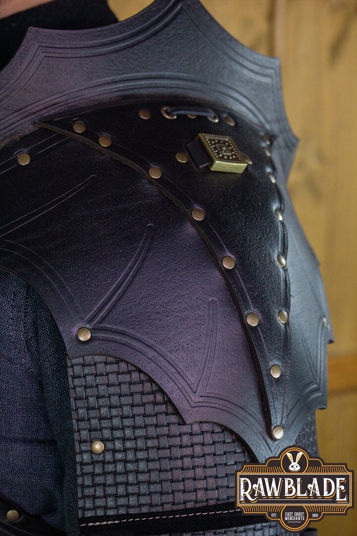 Imagen única de: Conjunto De Armadura Edekan