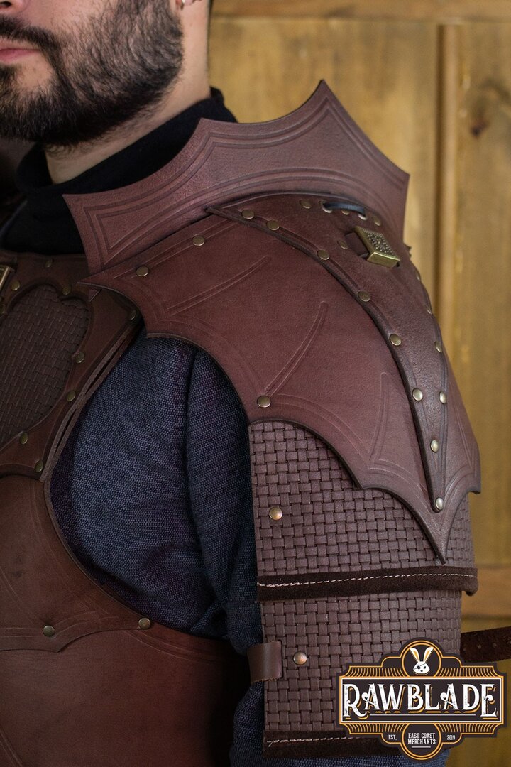 Imagen única de: Conjunto De Armadura Edekan