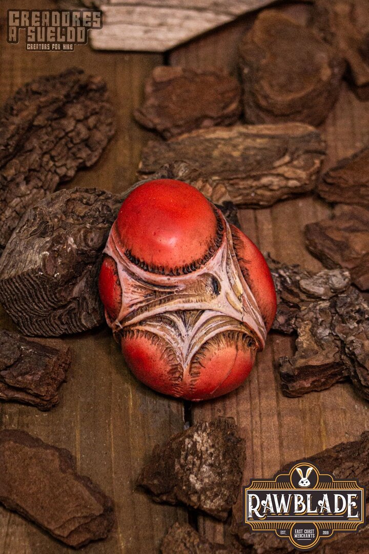 Imagen única de: Huevo Sobrenatural