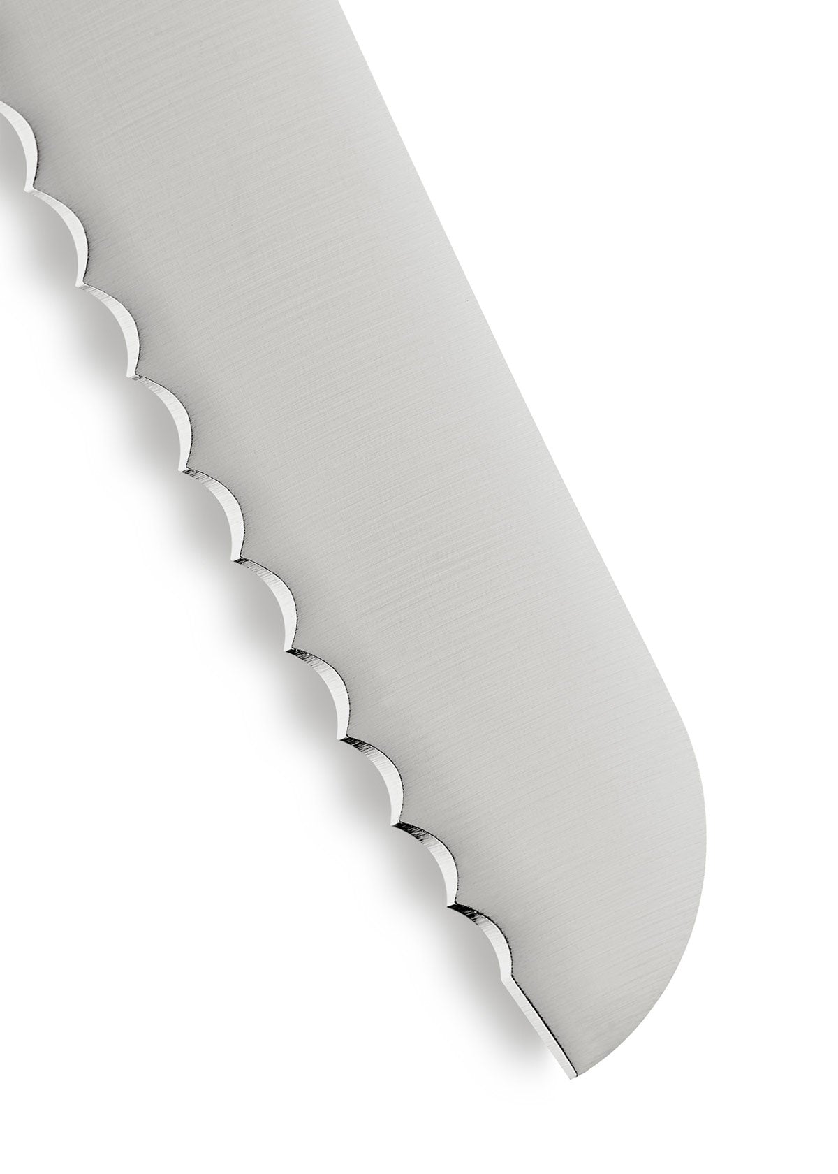 Imagen única de: Cuchillo Para Pan Samura Bamboo 200 Mm