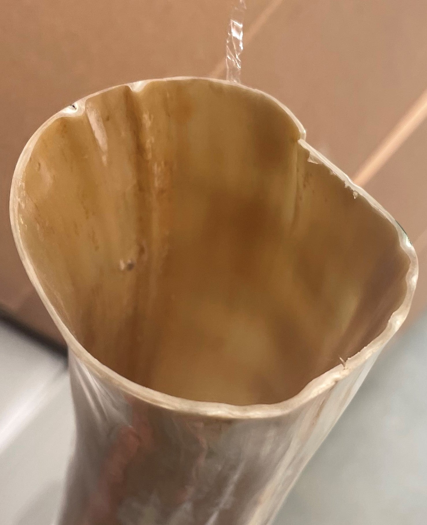 Imagen única de: Cuerno Para Beber, De Diferentes Tamaños, Con Defectos