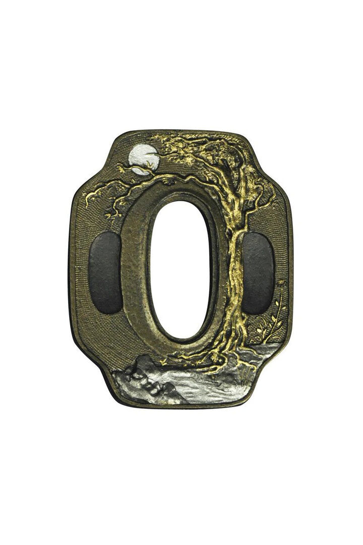 Imagen única de: Maestro Tsuba Bonzai