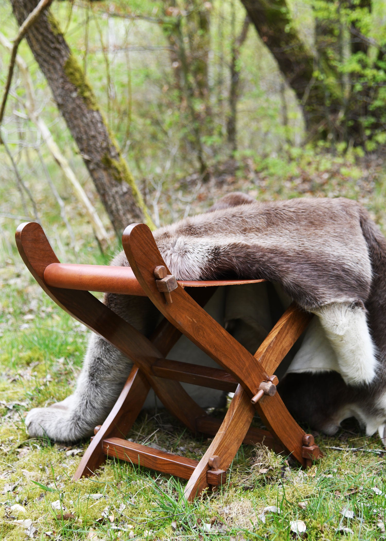 Imagen única de: Silla Medieval De Tijera Con Asiento De Cuero.