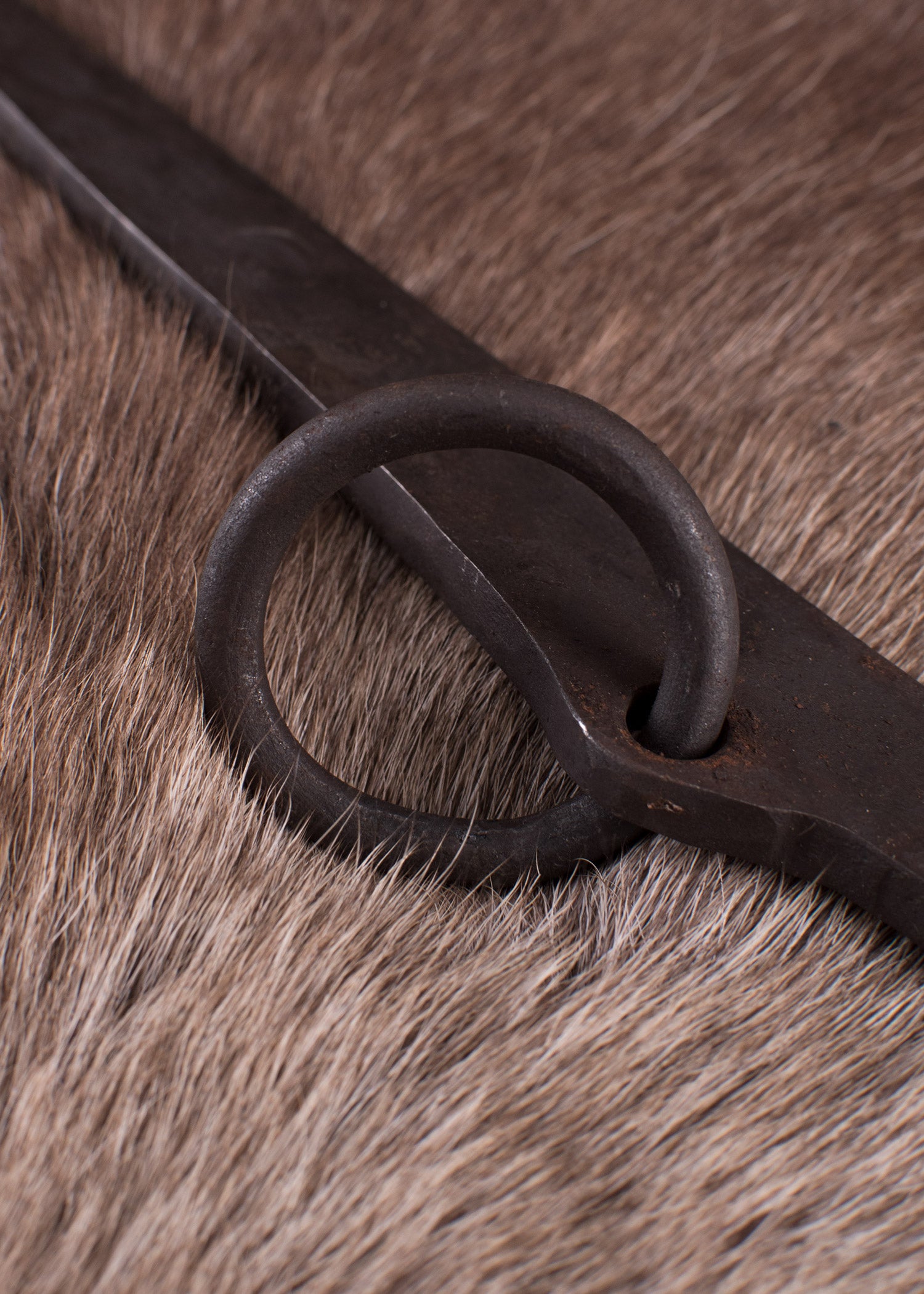 Imagen única de: Estaca Forjada Con Anilla, Acero, Aprox. 28 Cm