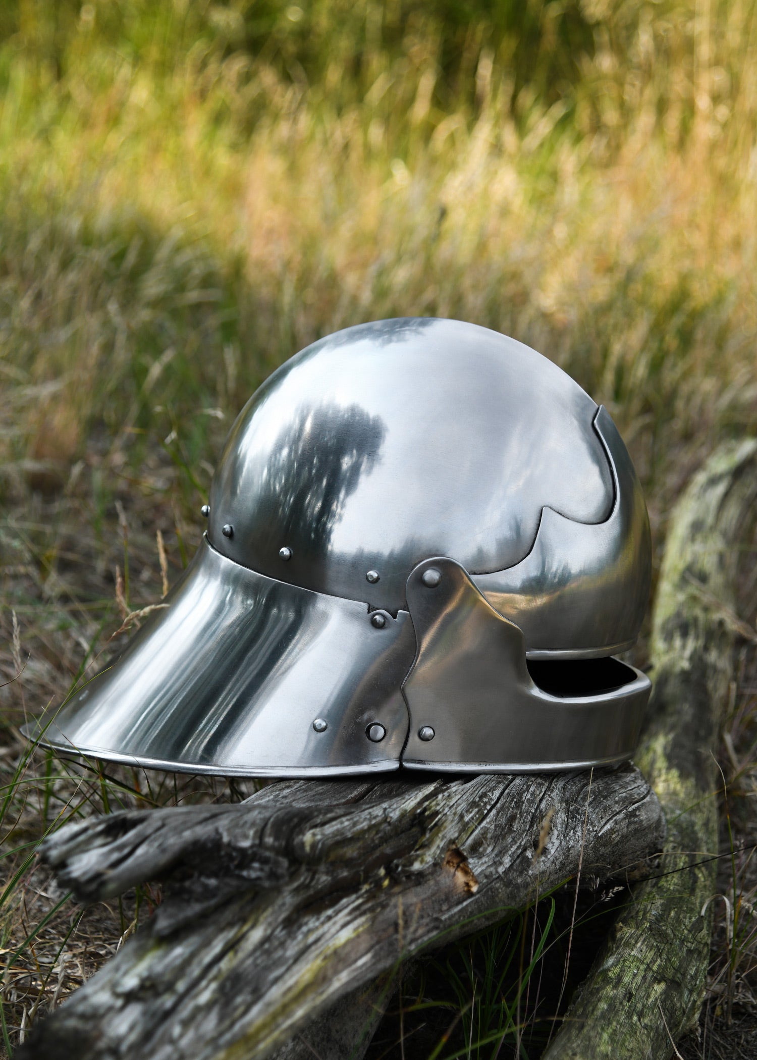 Imagen única de: Schaller Alemán, Ca. 1480, Acero De 2 Mm.