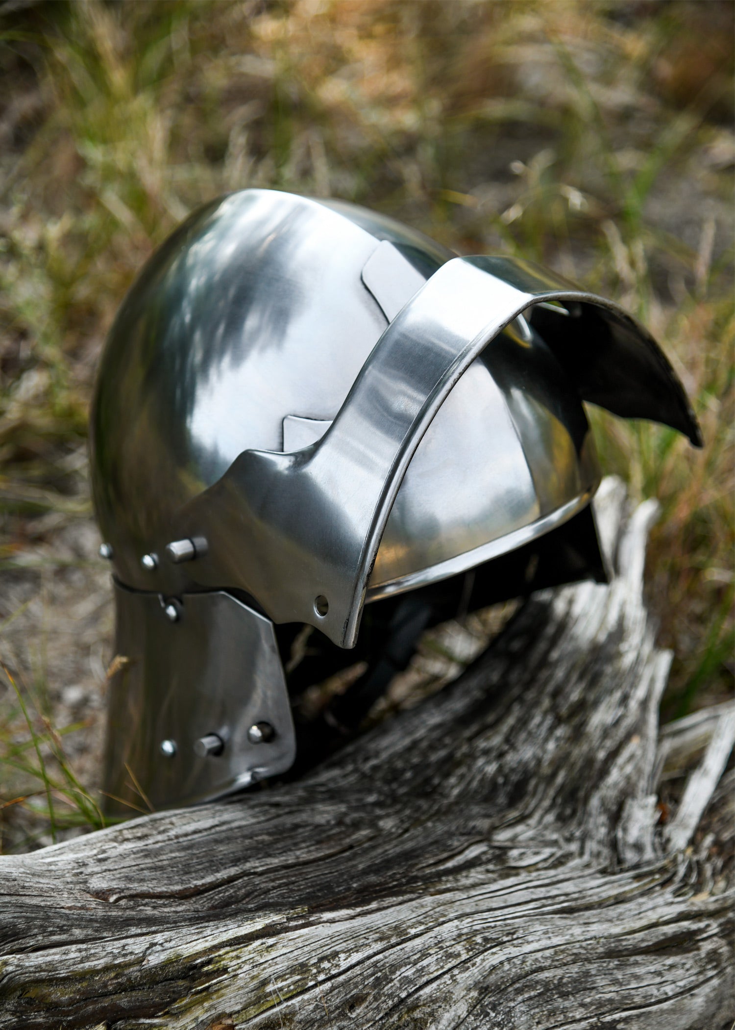 Imagen única de: Schaller Alemán, Ca. 1480, Acero De 2 Mm.