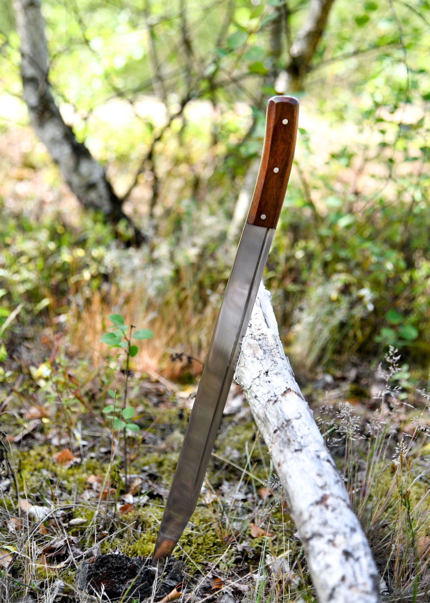 Imagen única de: Skramasax, Apto Para Combate De Espectáculo Con Funda De Cuero