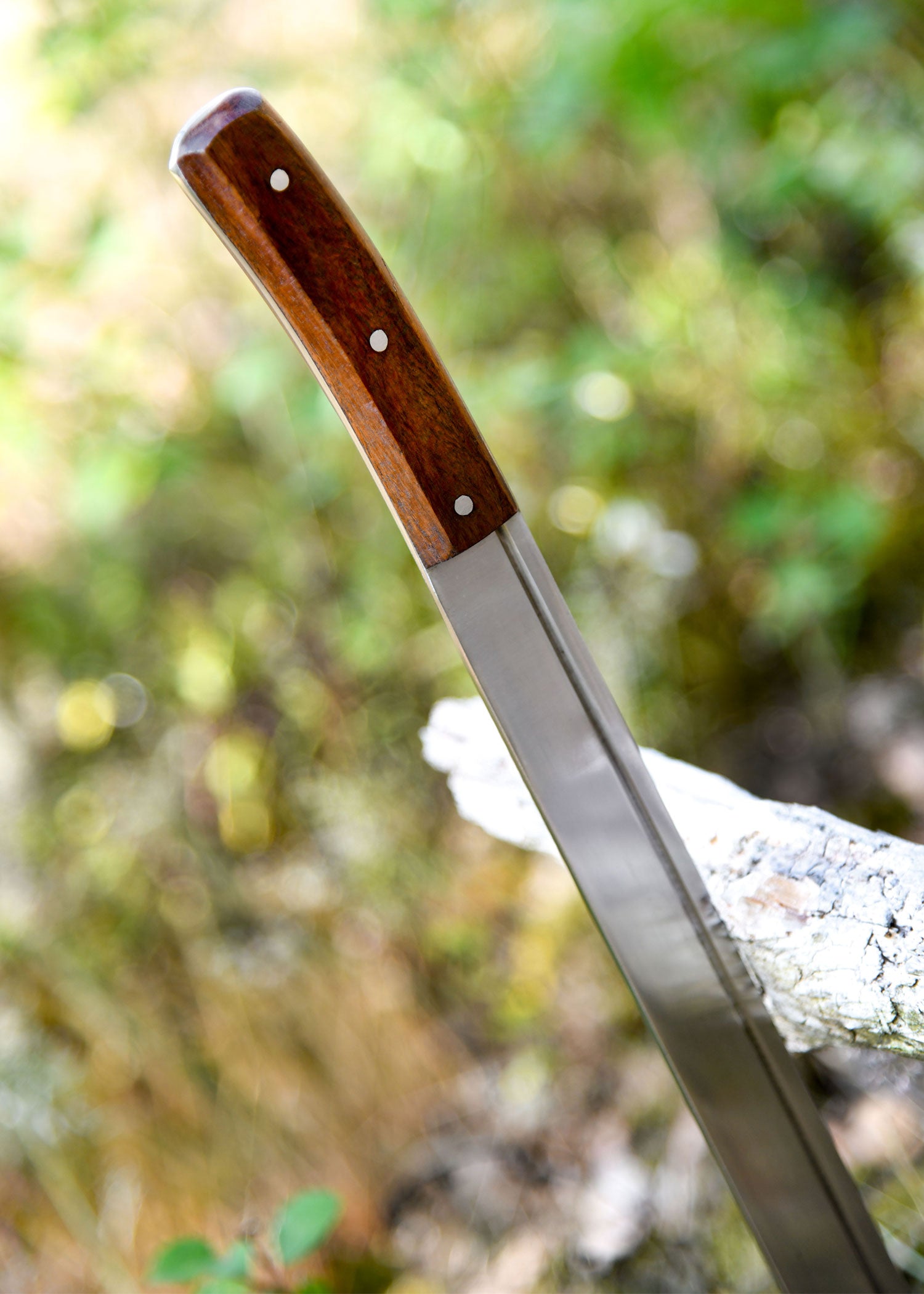 Imagen única de: Skramasax, Apto Para Combate De Espectáculo Con Funda De Cuero