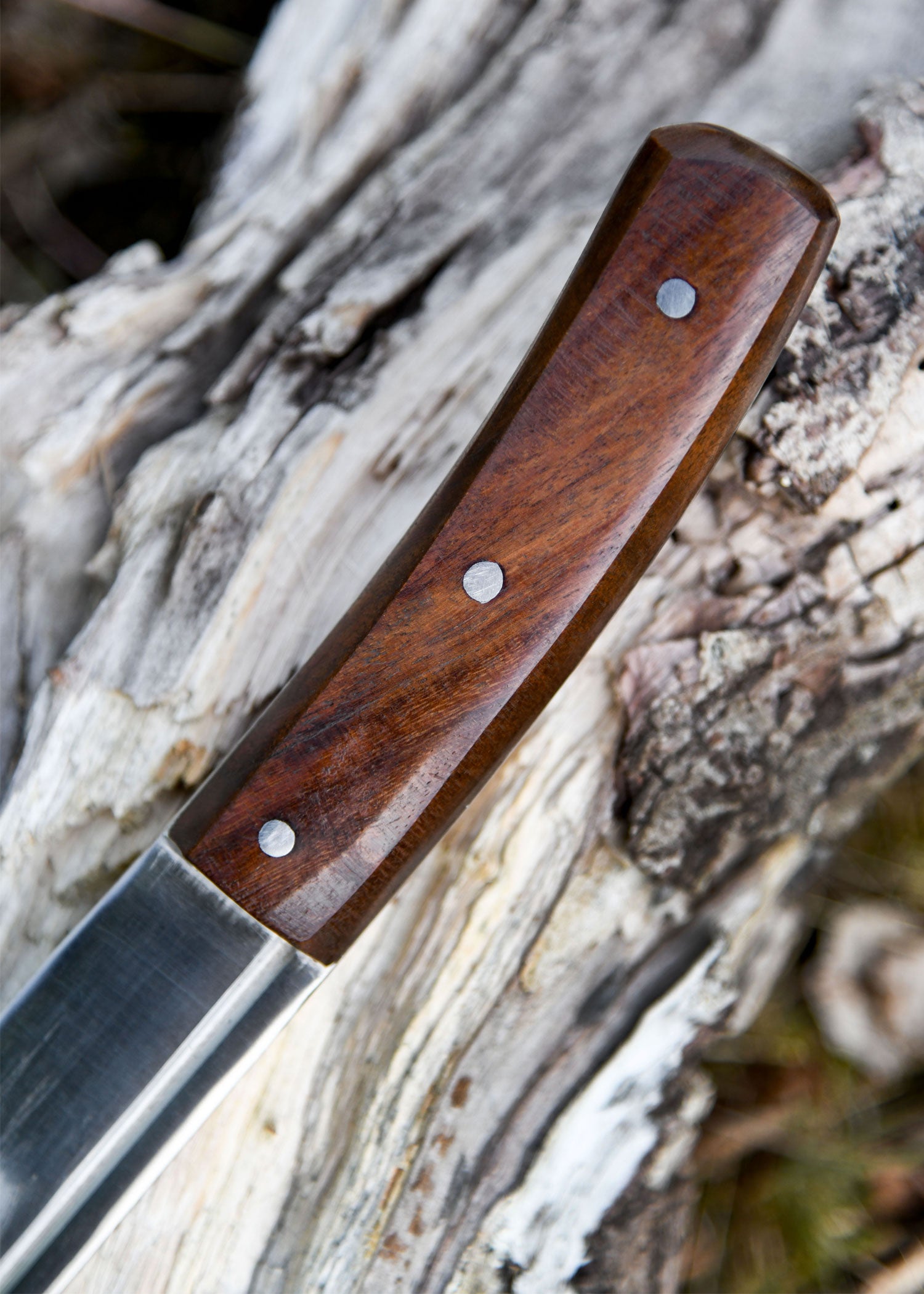 Imagen única de: Skramasax, Apto Para Combate De Espectáculo Con Funda De Cuero