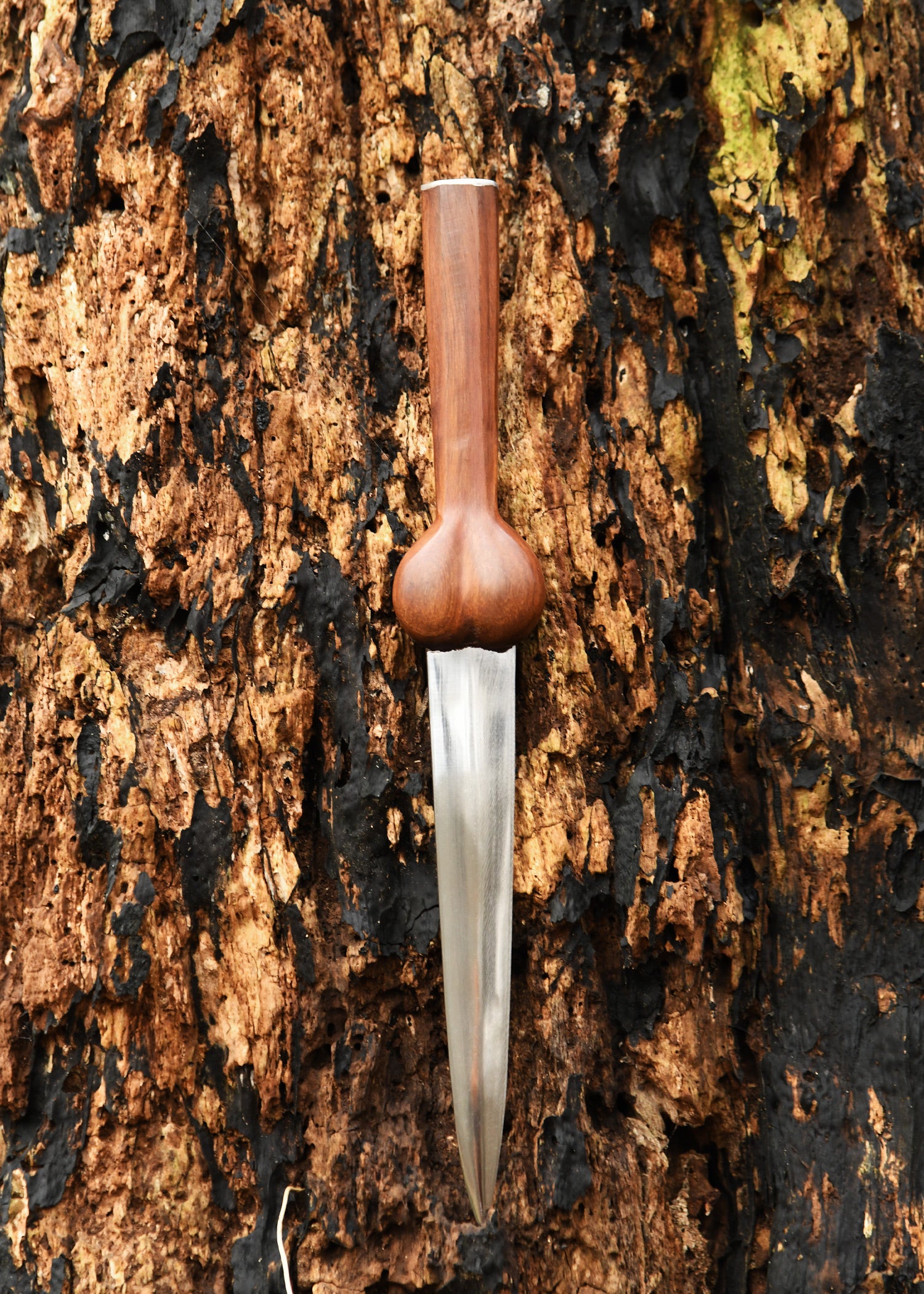 Imagen única de: Daga De Riñón Corta Con Funda De Cuero.