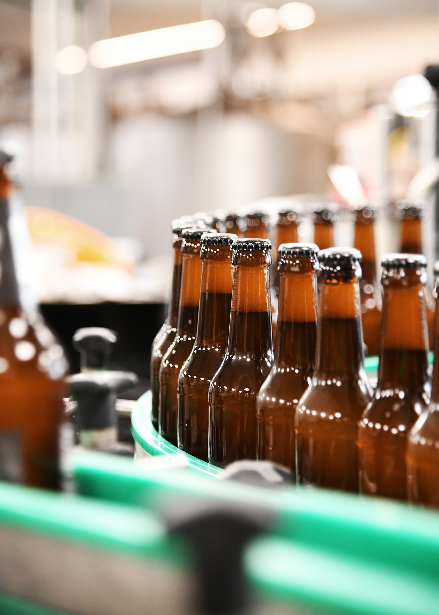 Imagen única de: Regalo De Los Dioses - 20 X Cerveza De Los Dioses - Paquete Probier