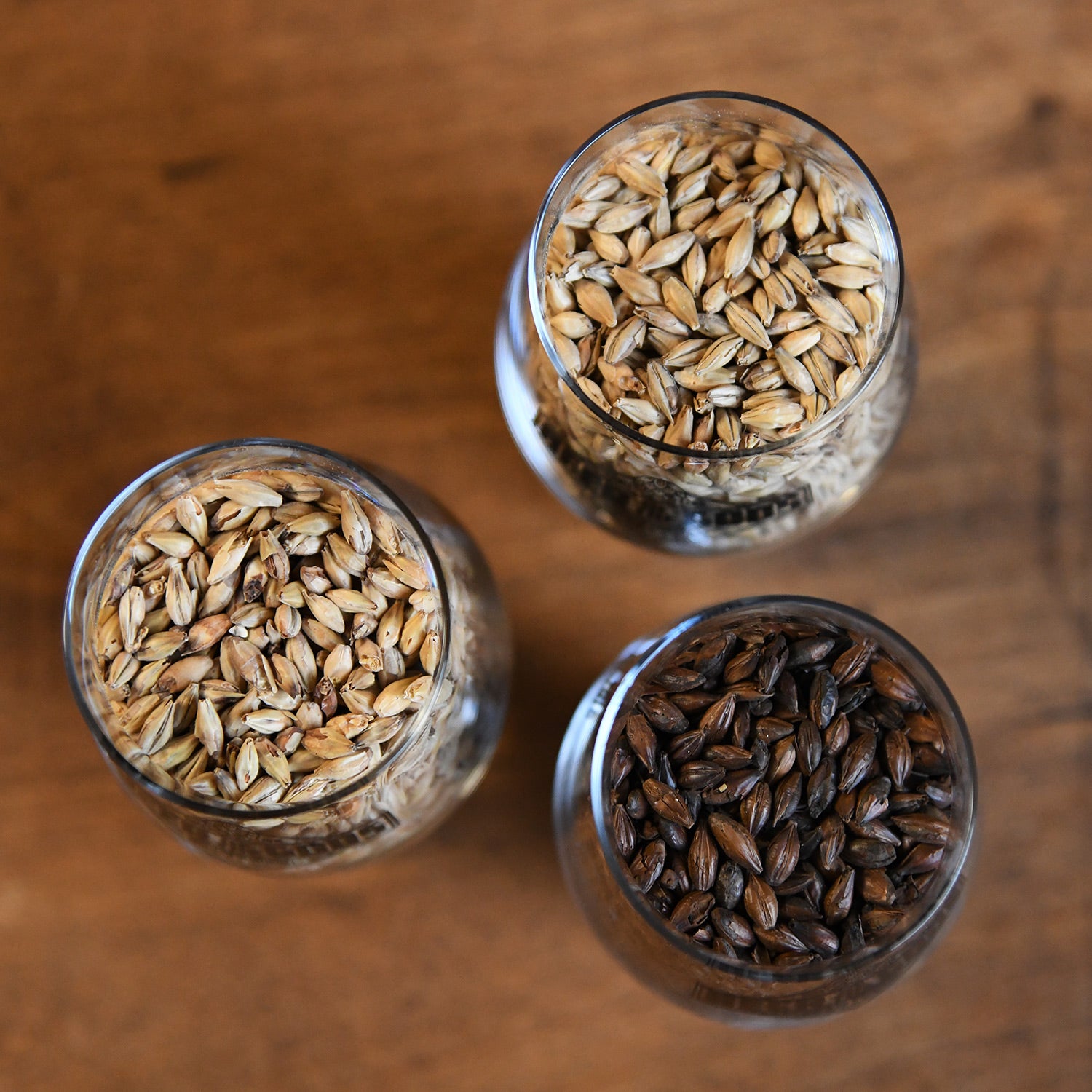 Imagen única de: Regalo De Los Dioses - 20 X Cerveza De Los Dioses - Paquete Probier