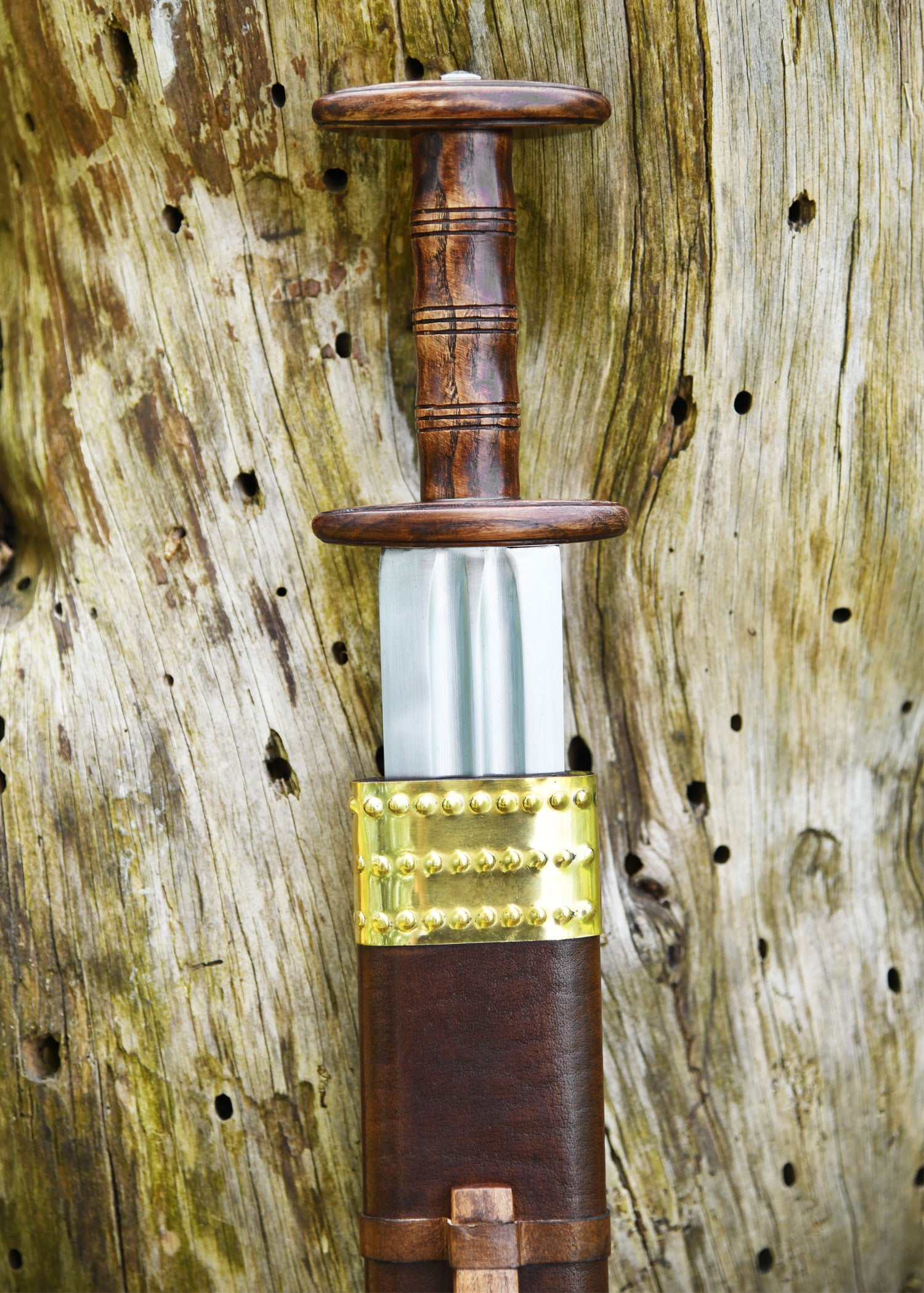 Imagen única de: Espada Romana Nydam , Categoría-C