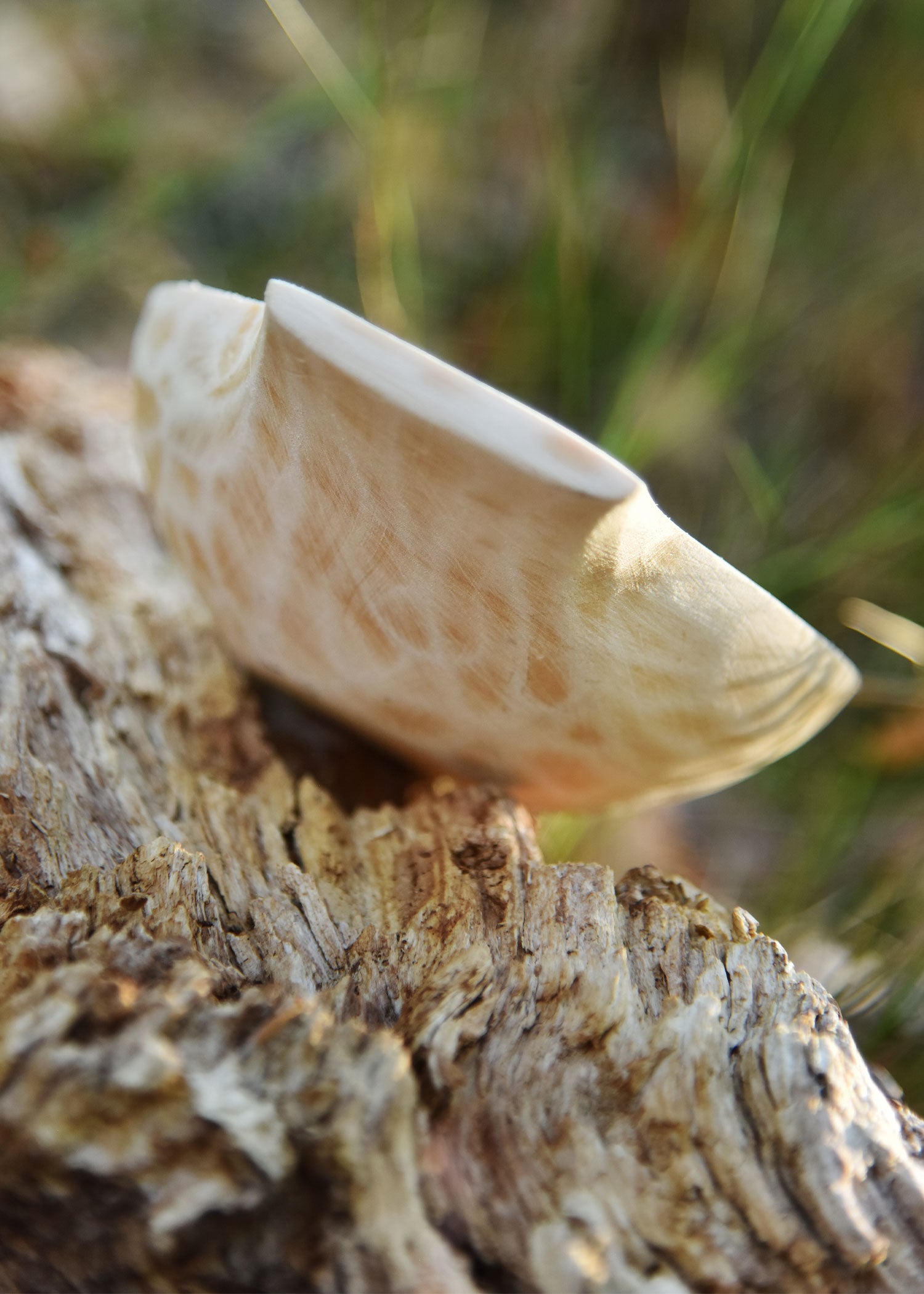 Imagen única de: Cuenco De Madera Con Asas, Tallado A Mano, Aprox. 16 X 10 Cm.