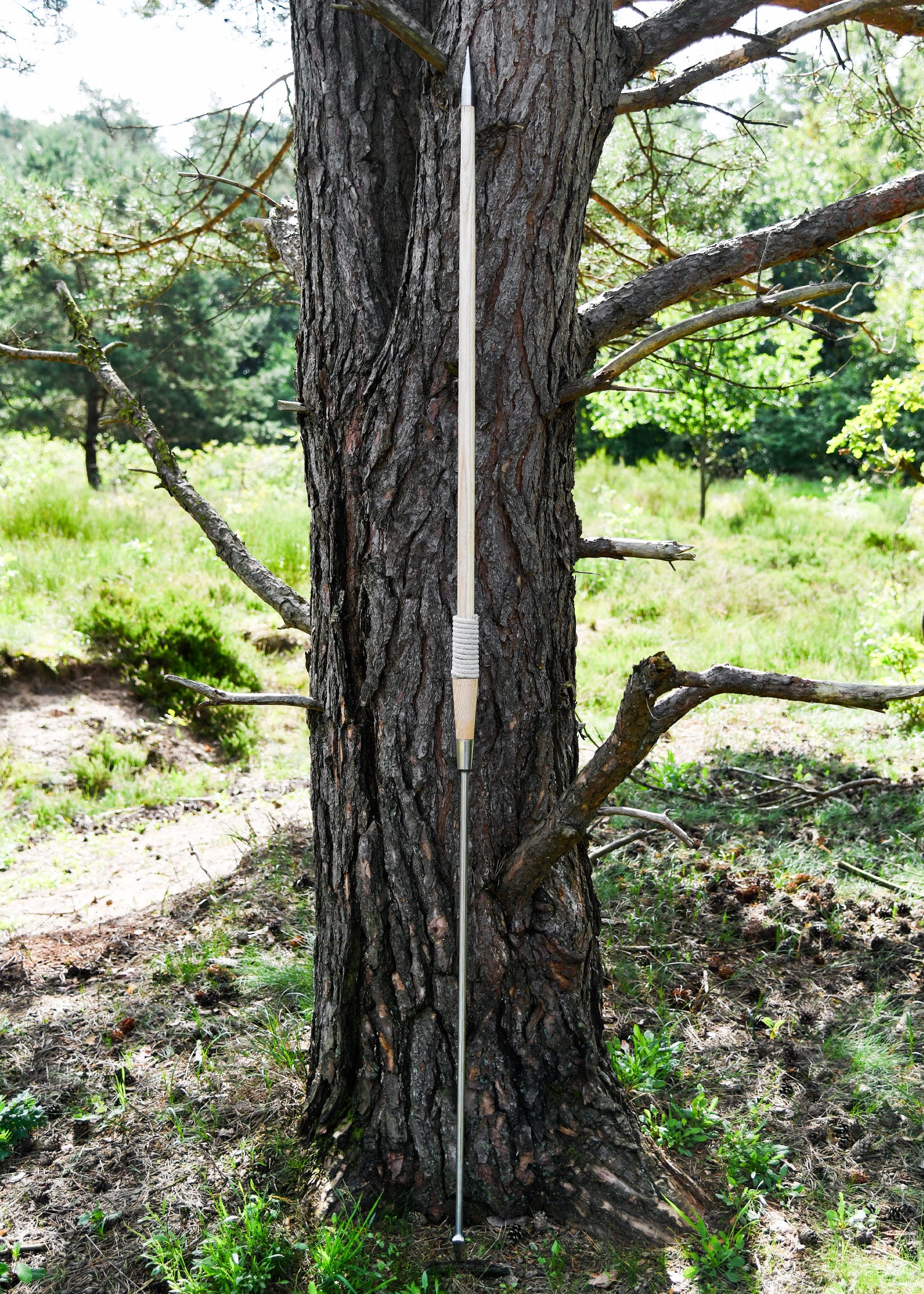 Imagen 2 - Pilum Romano Con Fuste De Madera, 215 Cm.