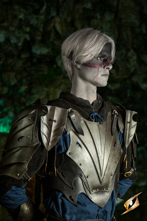 Imagen única de: Conjunto Completo De Armadura Eventide