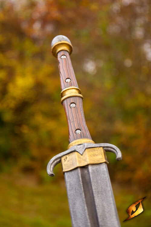 Imagen única de: Espada Mercenaria - Vanguardia