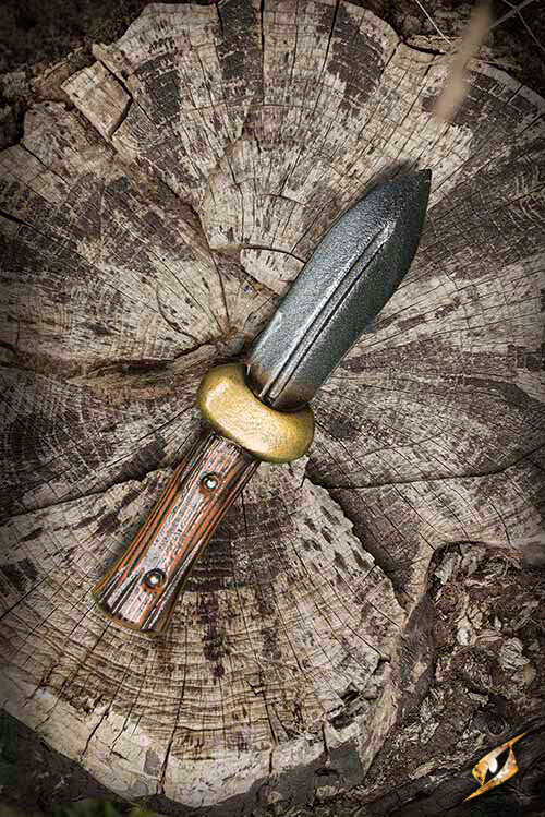 Imagen única de: Cuchillo Arrojadizo Navaja - 24 Cm
