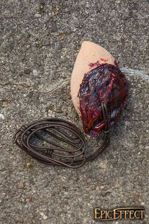 Imagen única de: Oreja Del Trofeo Hafling