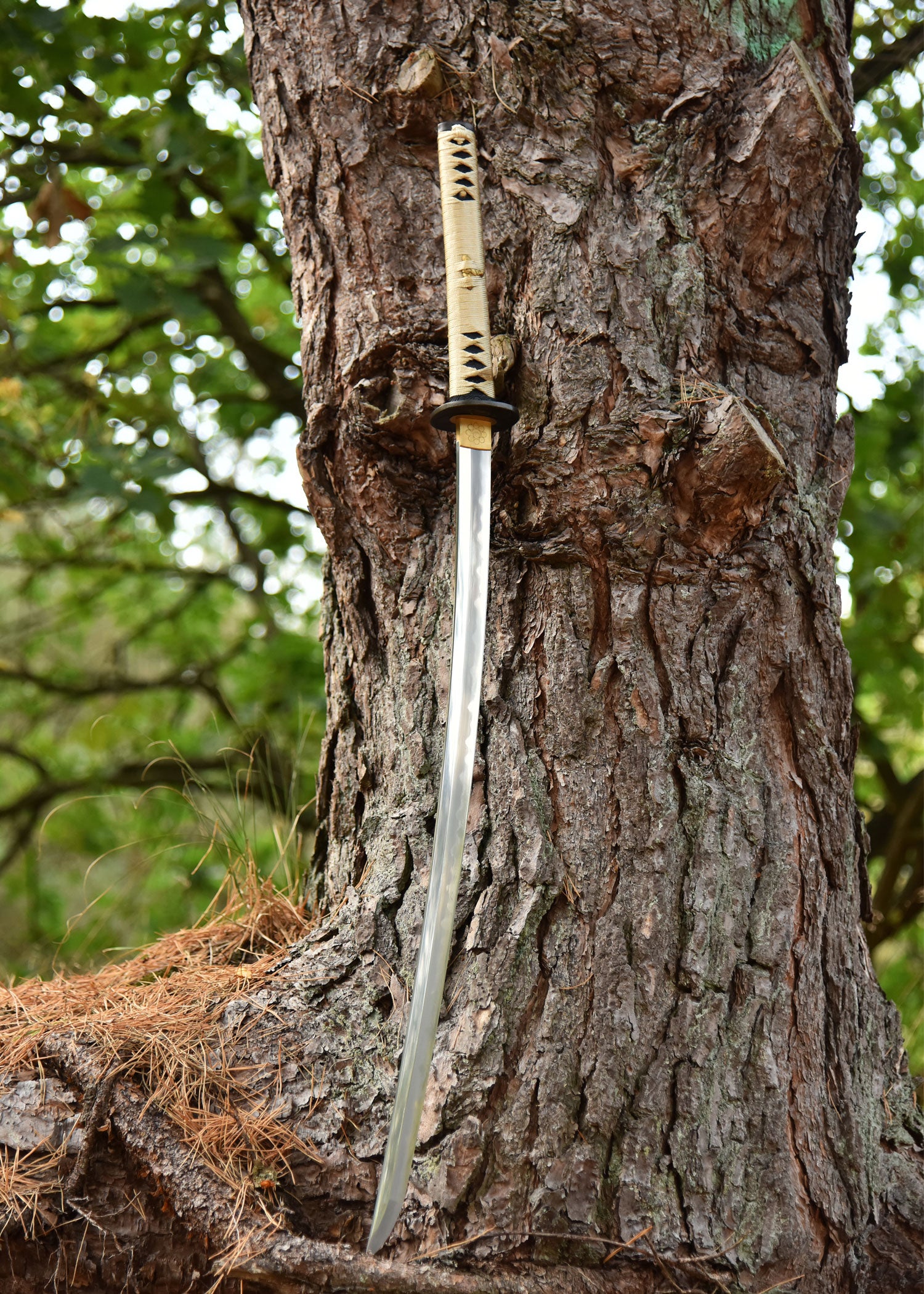 Imagen única de: Kogane No Senshi Honsanmai Katana, Battleblades
