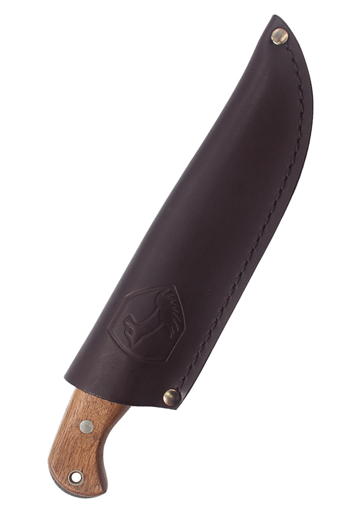 Imagen única de: Cuchillo Wayfinder, Cóndor