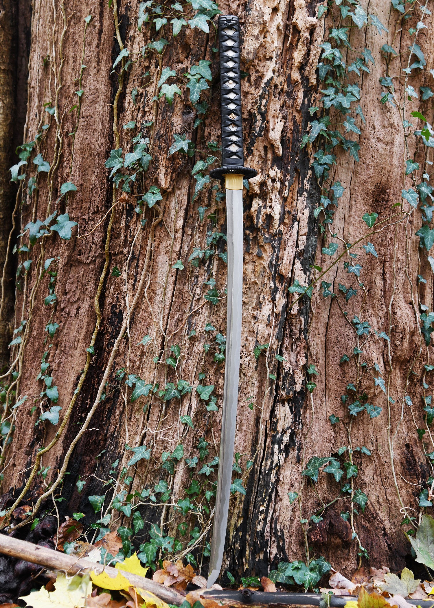 Imagen única de: Práctica Plus Katana