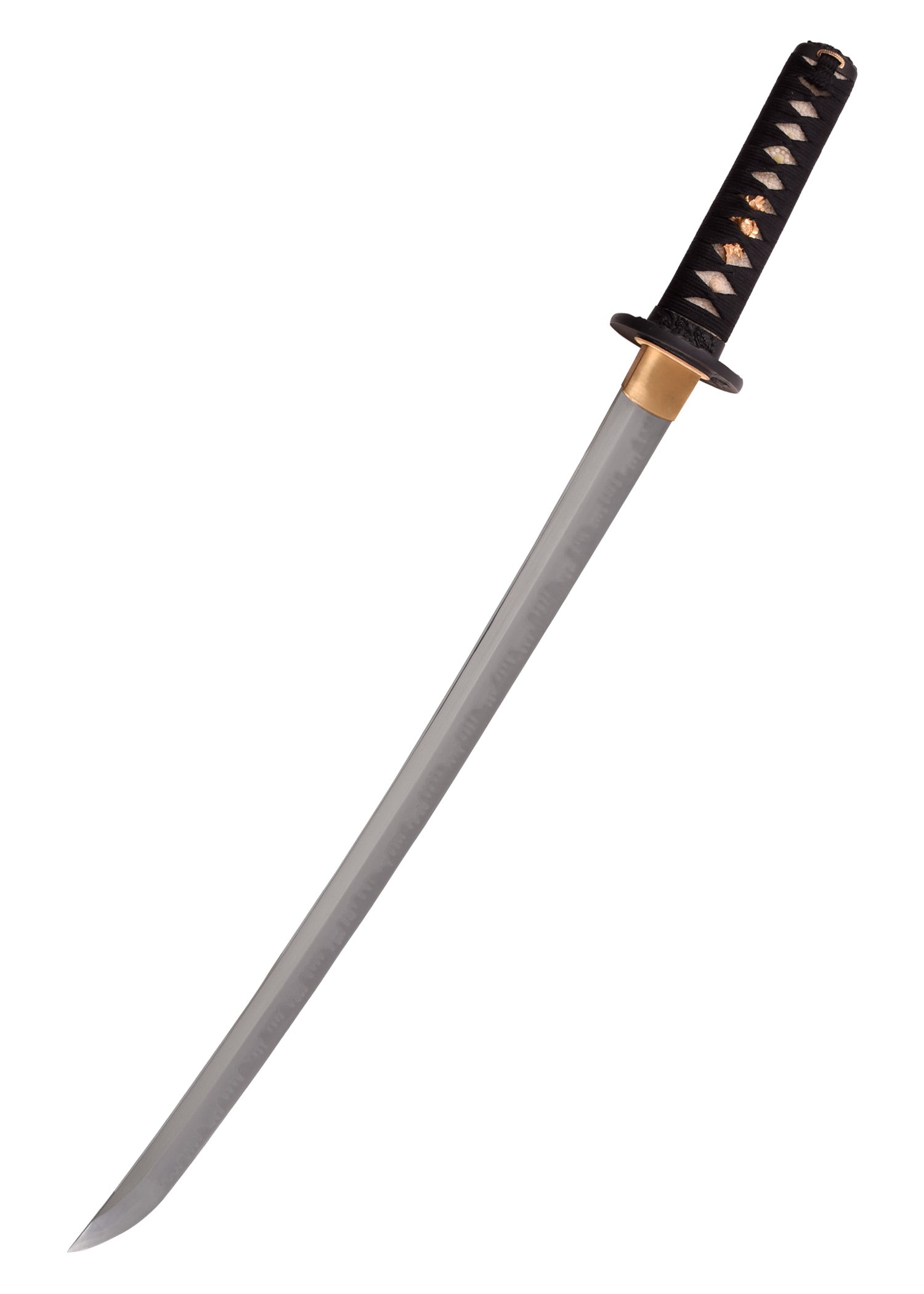 Imagen 2 - Perro León Wakizashi