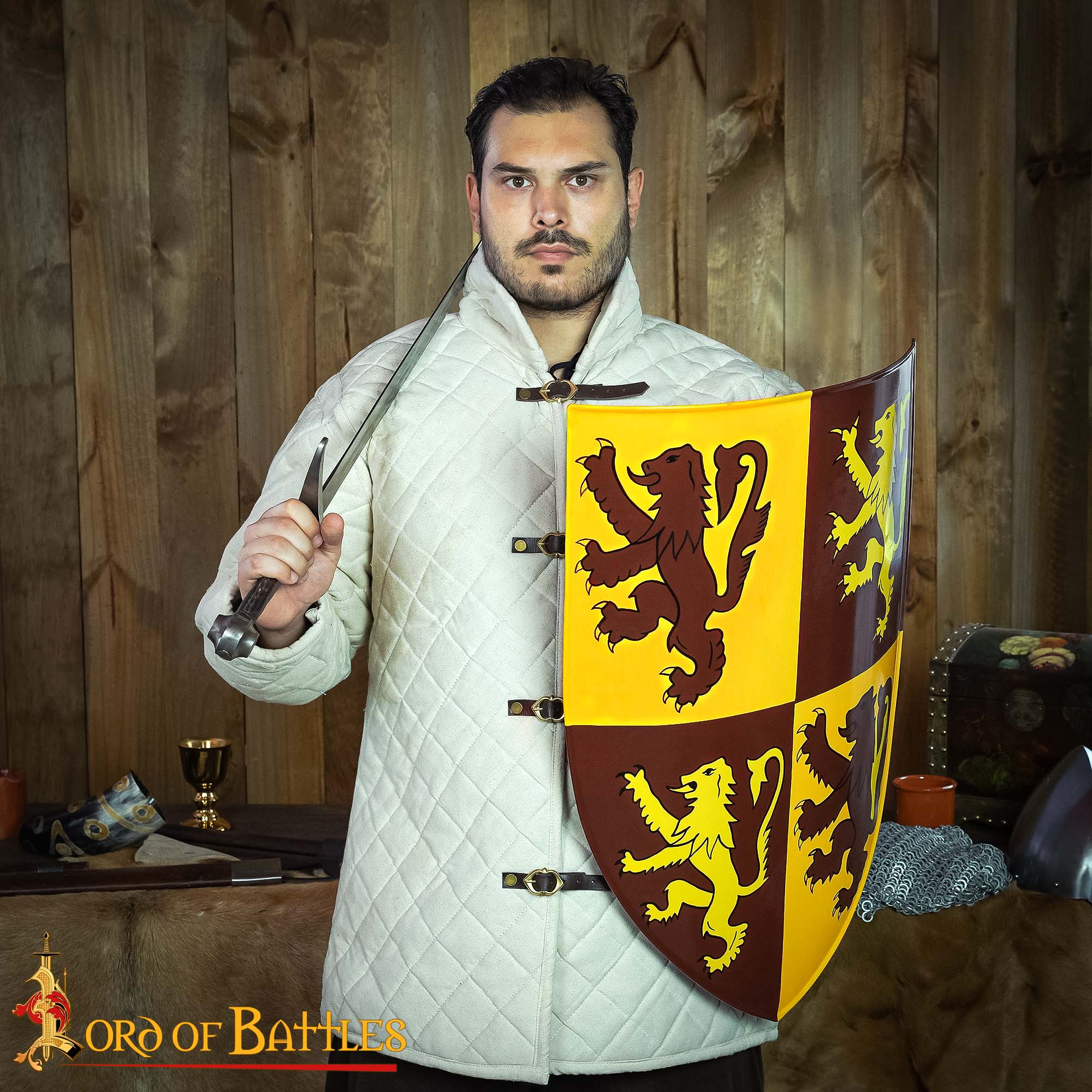Imagen única de: Escudo Galés Decorativo con León Rampante Escudo de Armas de Owain Glyndwr