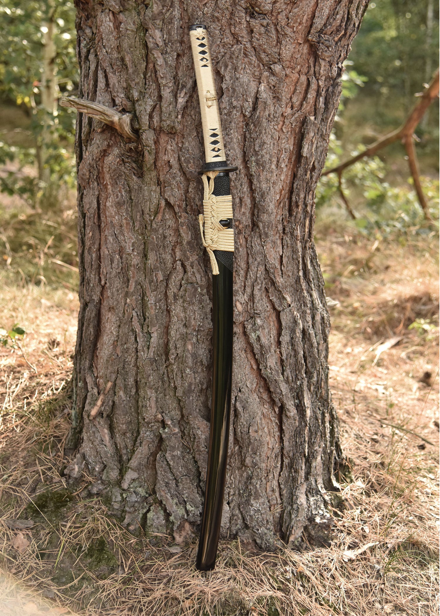 Imagen única de: Kogane No Senshi Honsanmai Katana, Battleblades