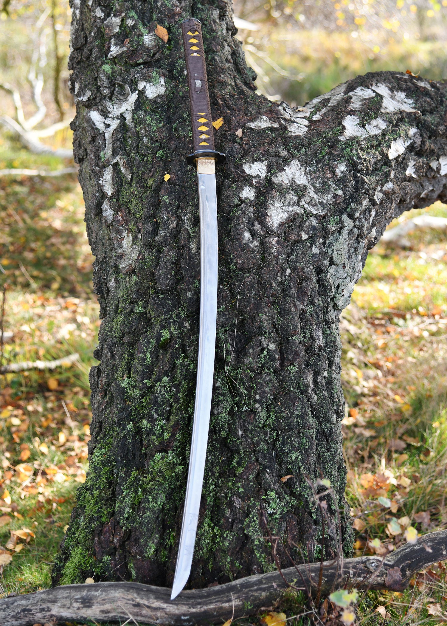 Imagen única de: Senshi Erai Hito No Katana, Battleblades