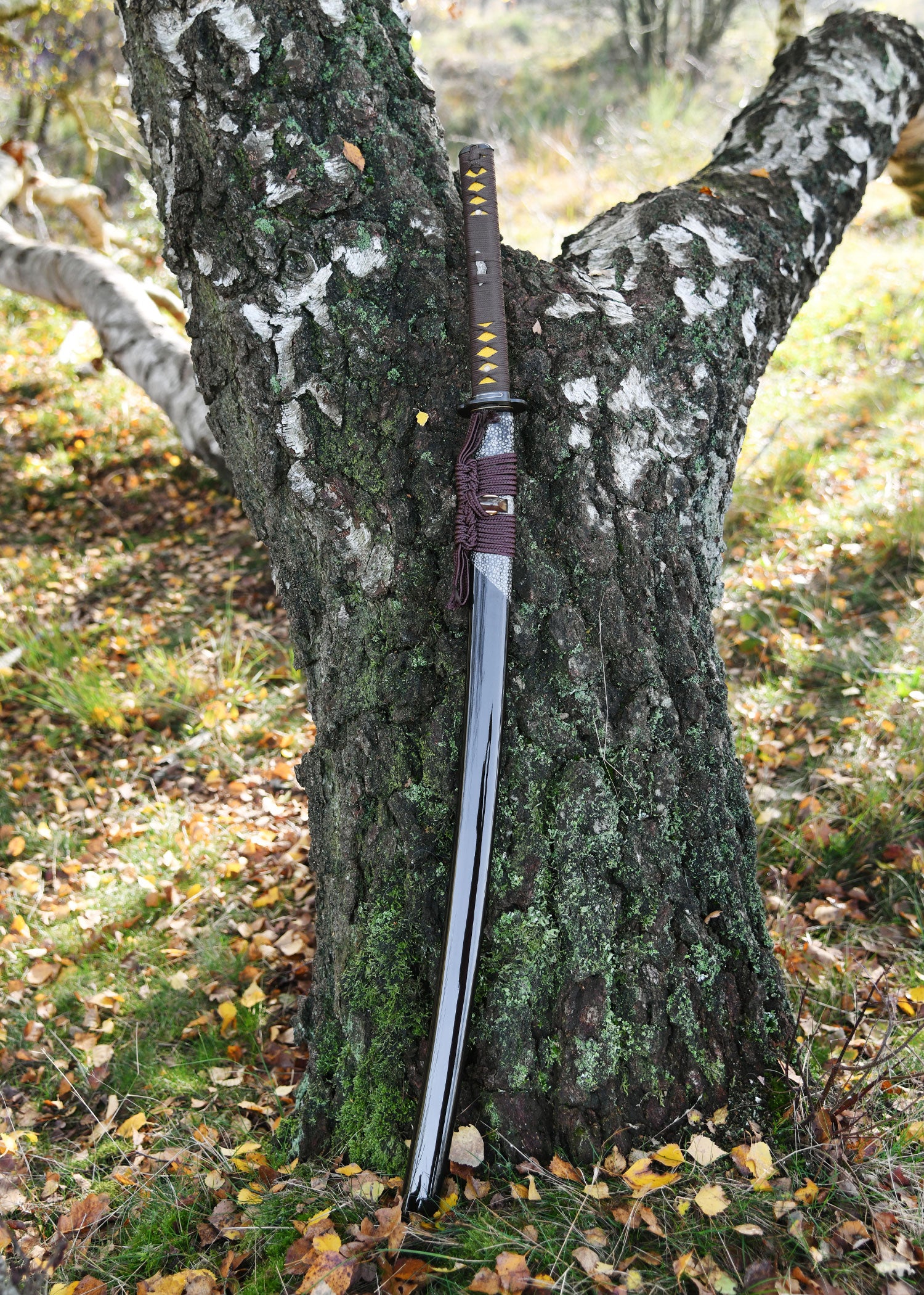 Imagen única de: Senshi Erai Hito No Katana, Battleblades
